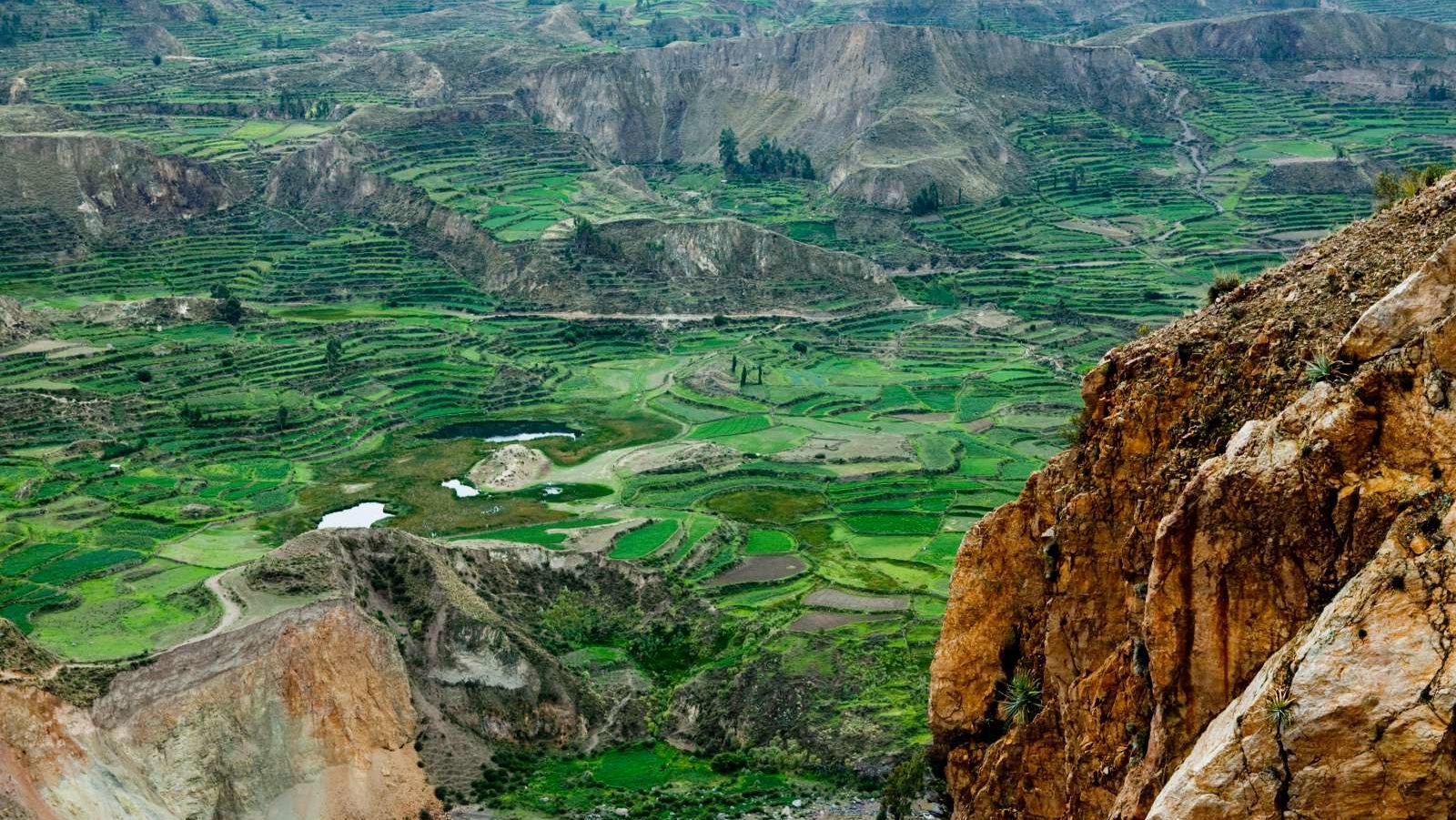 rondreis peru, colca canyon