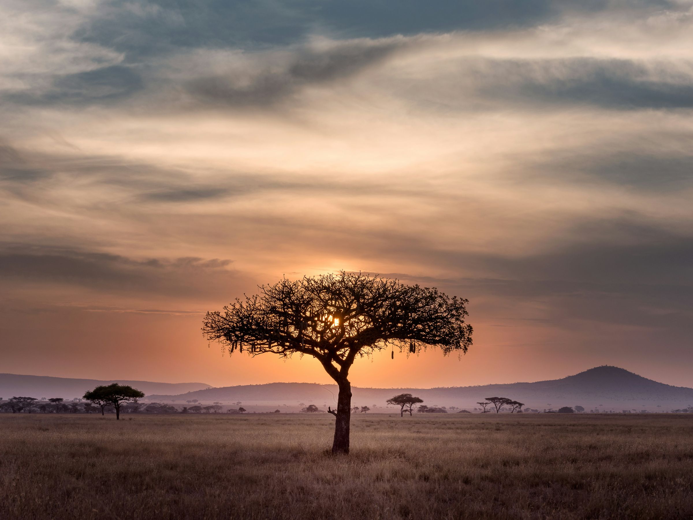 Rondreis Tanzania, Serengeti safari, uitzicht