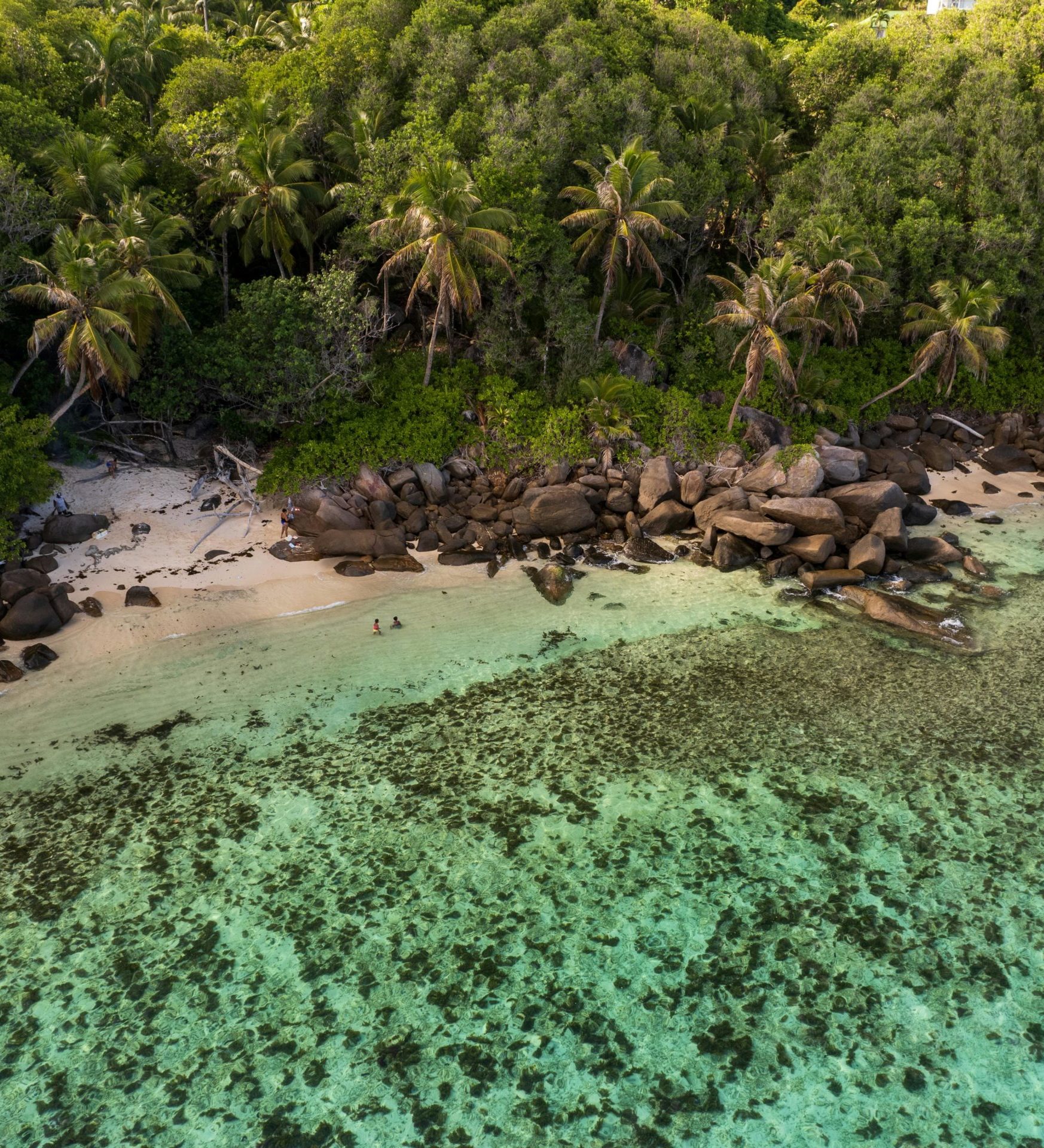rondreis zuid afrika en sechellen header