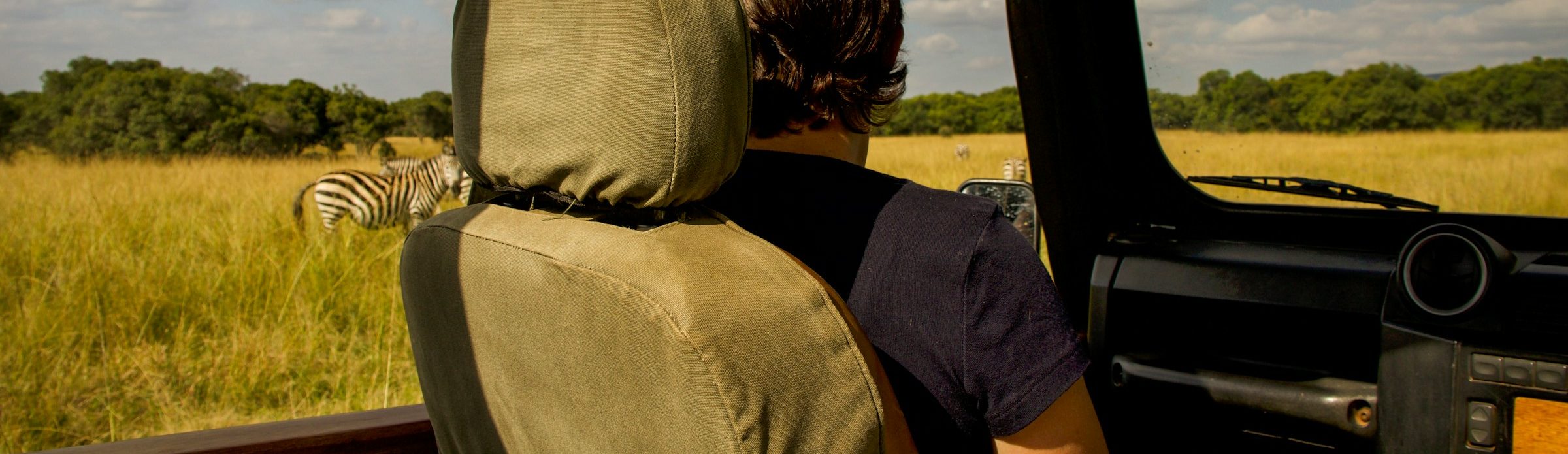 wildlife-banner