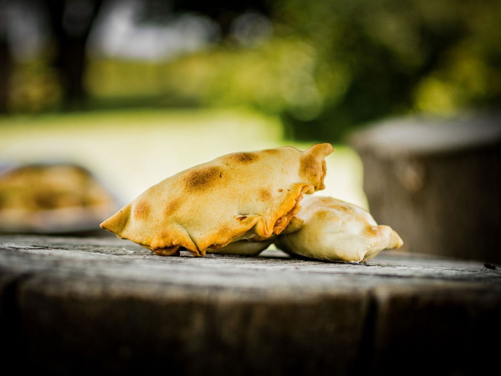Rondreis Argentinië, Empanadas