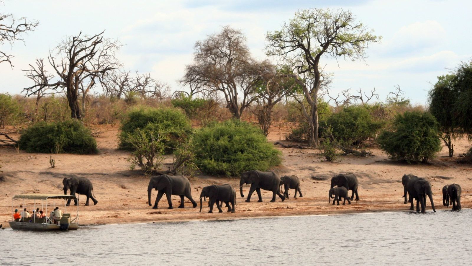 Rondreis Botswana, Chobe National Park, olifanten bij waterplaats met boot op het water