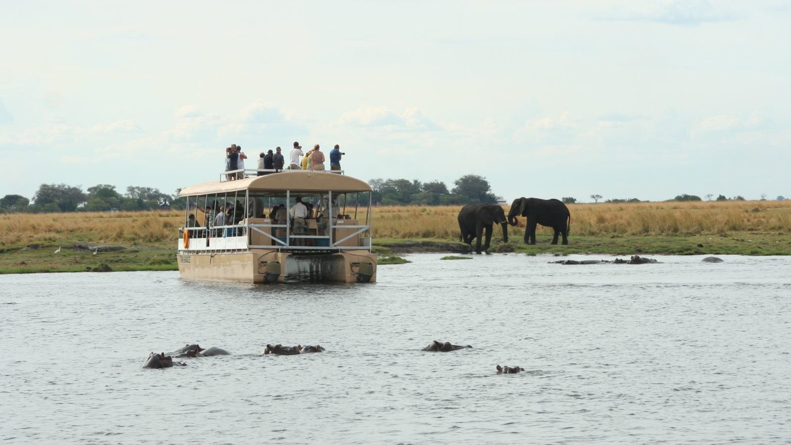 Rondreis Botswana, Chobe National Park, waterplaats met nijlpaarden en olifanten en boot op het water