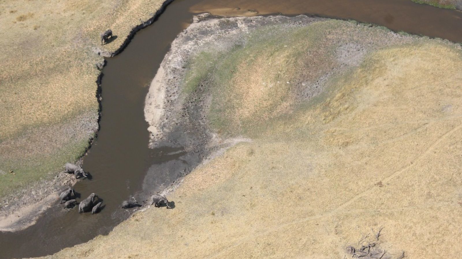 Rondreis Botswana, Maun, bovenaanzicht rivier met olifanten