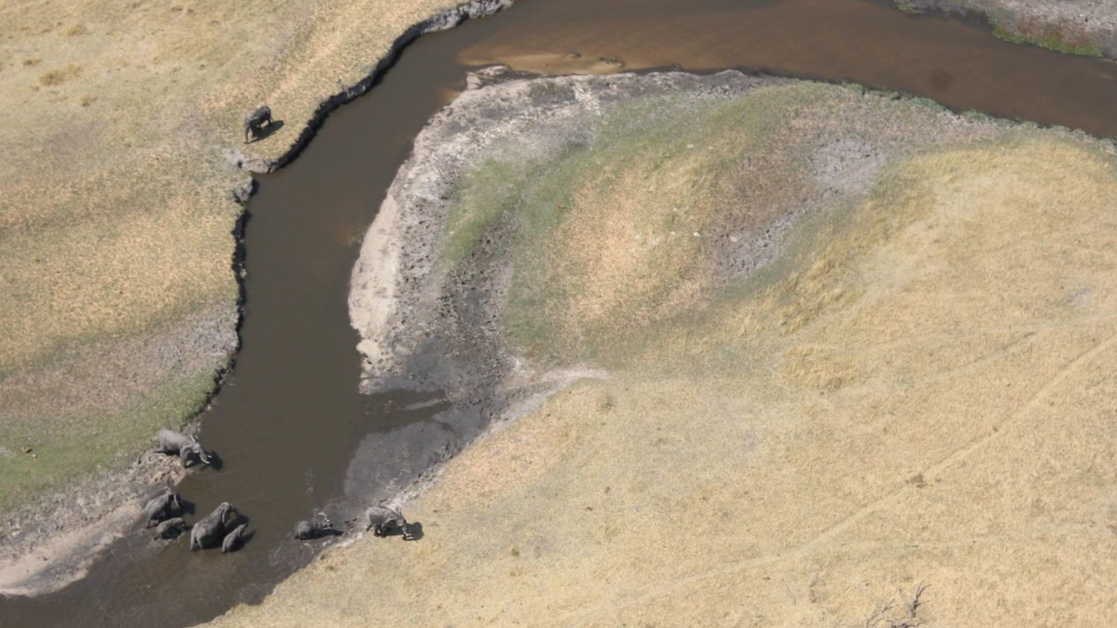 Rondreis Botswana, Maun, bovenaanzicht rivier met olifanten