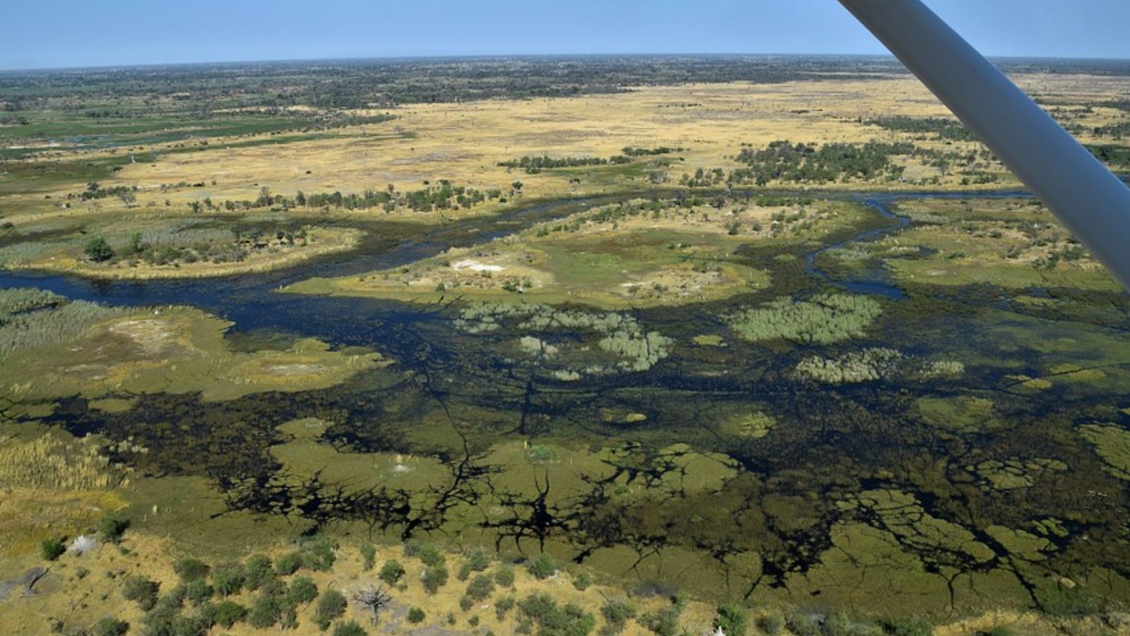 Rondreis Botswana, Maun, bovenaanzicht uit vliegtuig