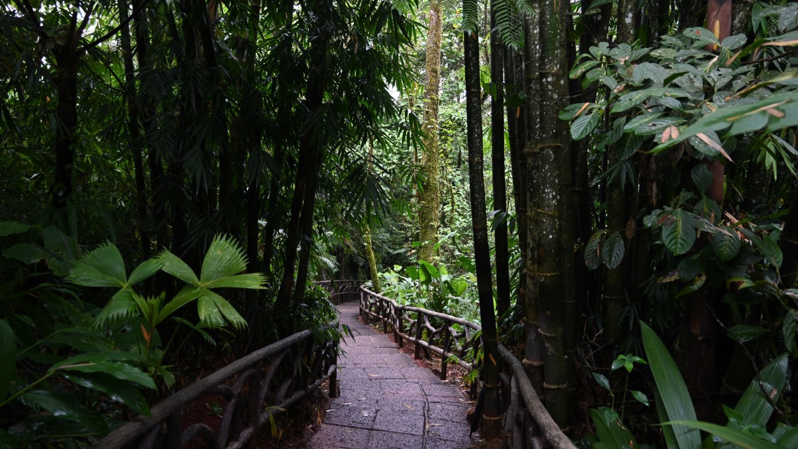 Rondreis Costa Rica, Alajuela, La Paz Waterfall Gardens wandelpad