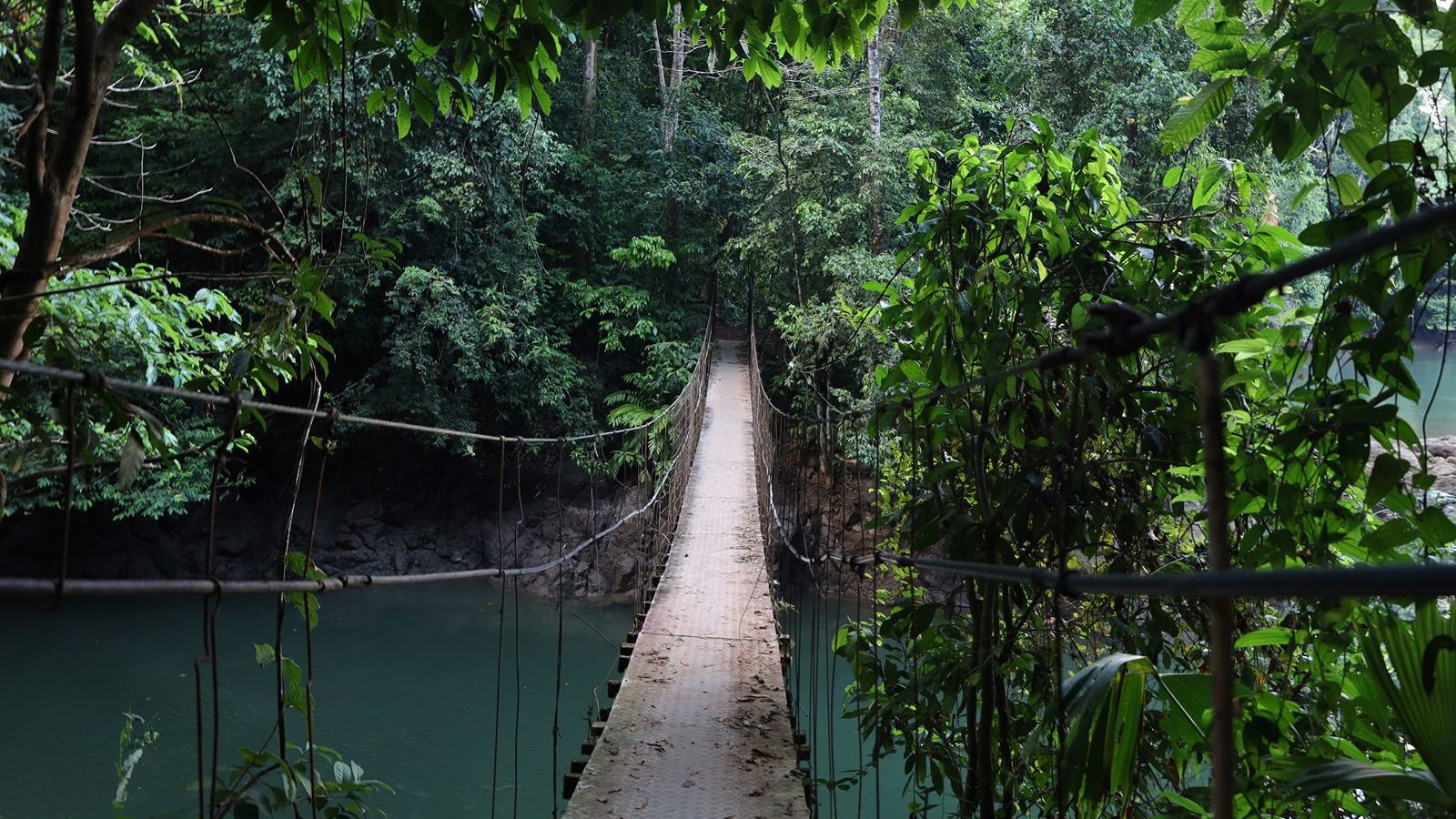 Rondreis Costa Rica, Corcovado National Park, hangbrug