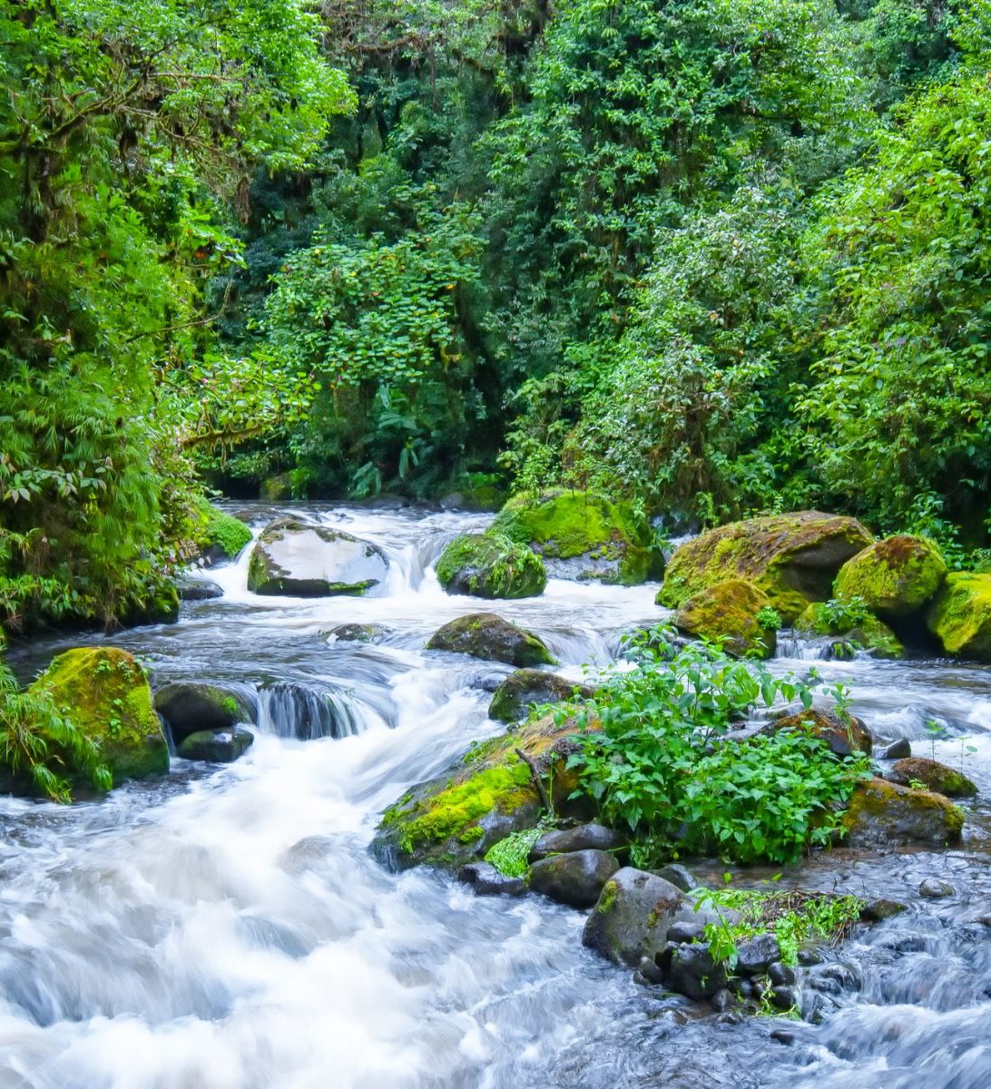 Rondreis Costa Rica, San Gerardo de Dota, Rio Savegre