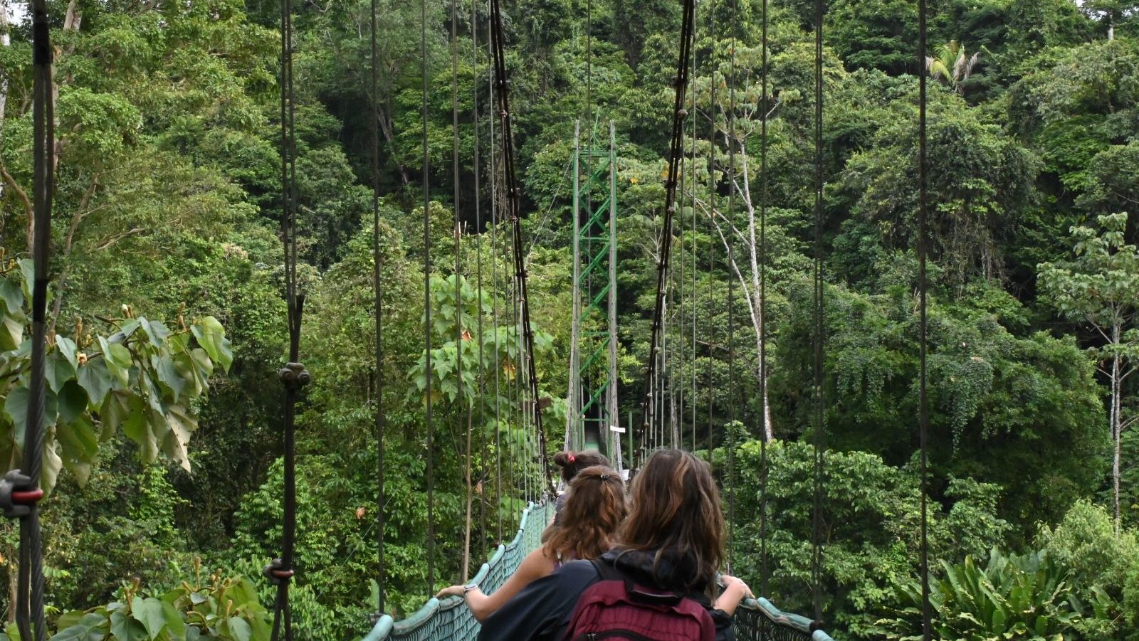 Rondreis Costa Rica, Sarapiqui, hangbrug met mensen