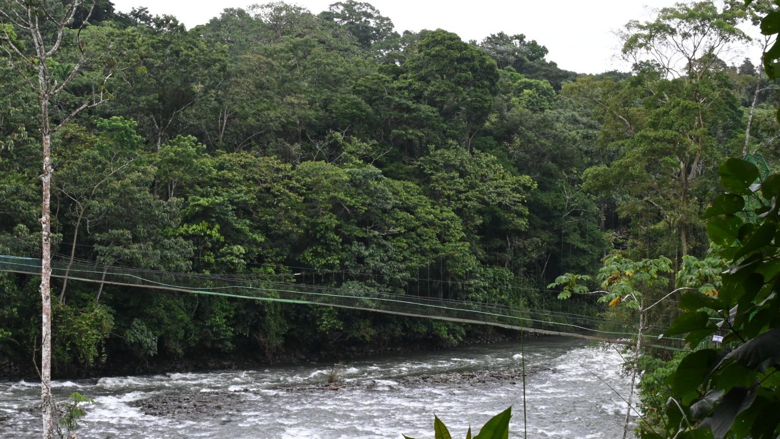 Rondreis Costa Rica, Sarapiqui, rivier met loopbrug