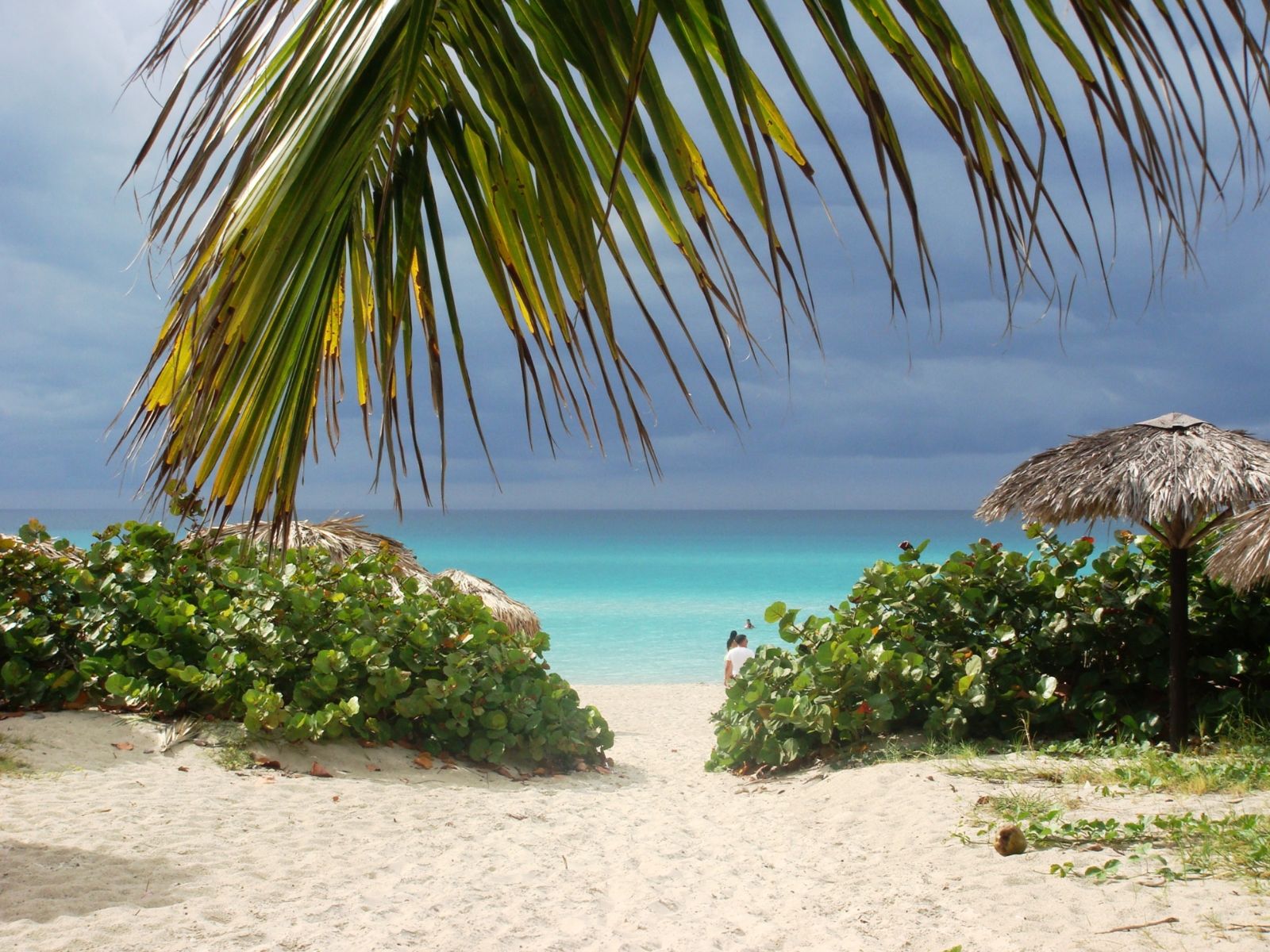 Rondreis Cuba, Cayo Levisa, strand