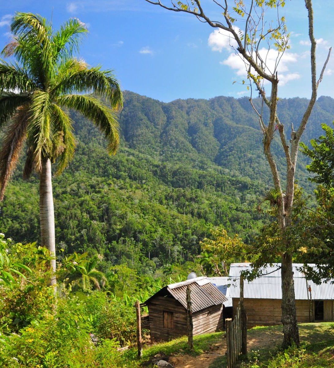 Rondreis Cuba, Sierra Maestra bergen en bos met gebouw op voorgrond