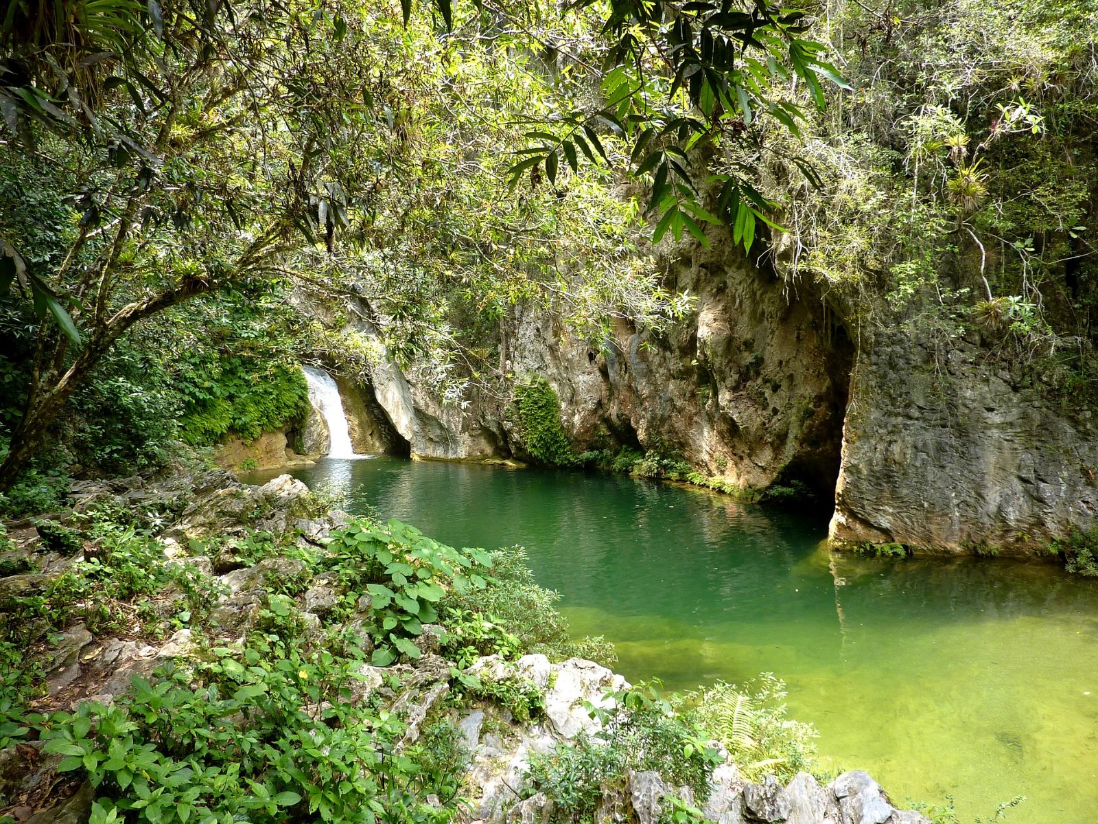 Rondreis Cuba, Trinidad, Hiken bij Topes de Collantes, pond