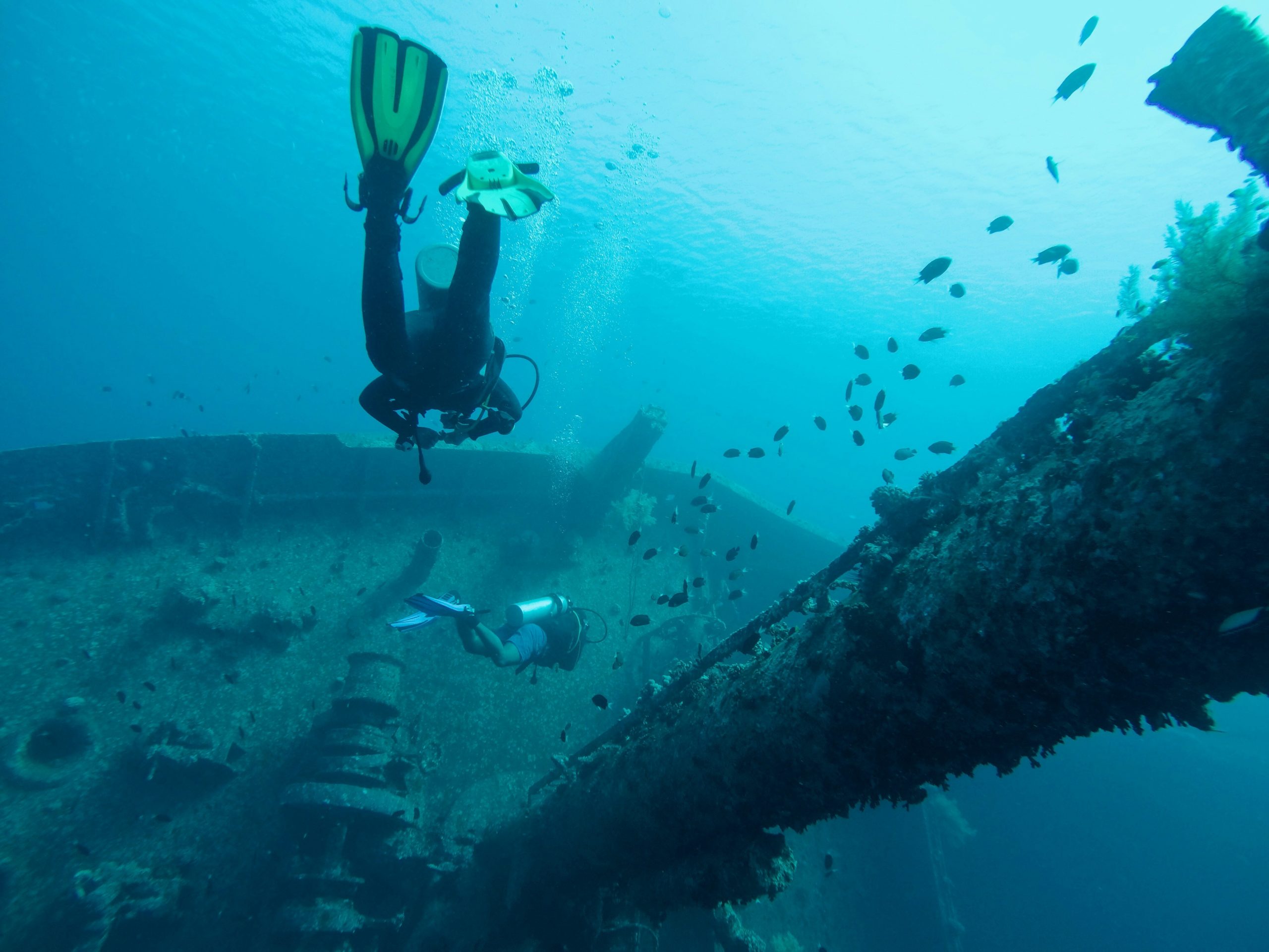 Rondreis Jordanië, Aqaba, duikers bij een scheepswrak in de Rode Zee