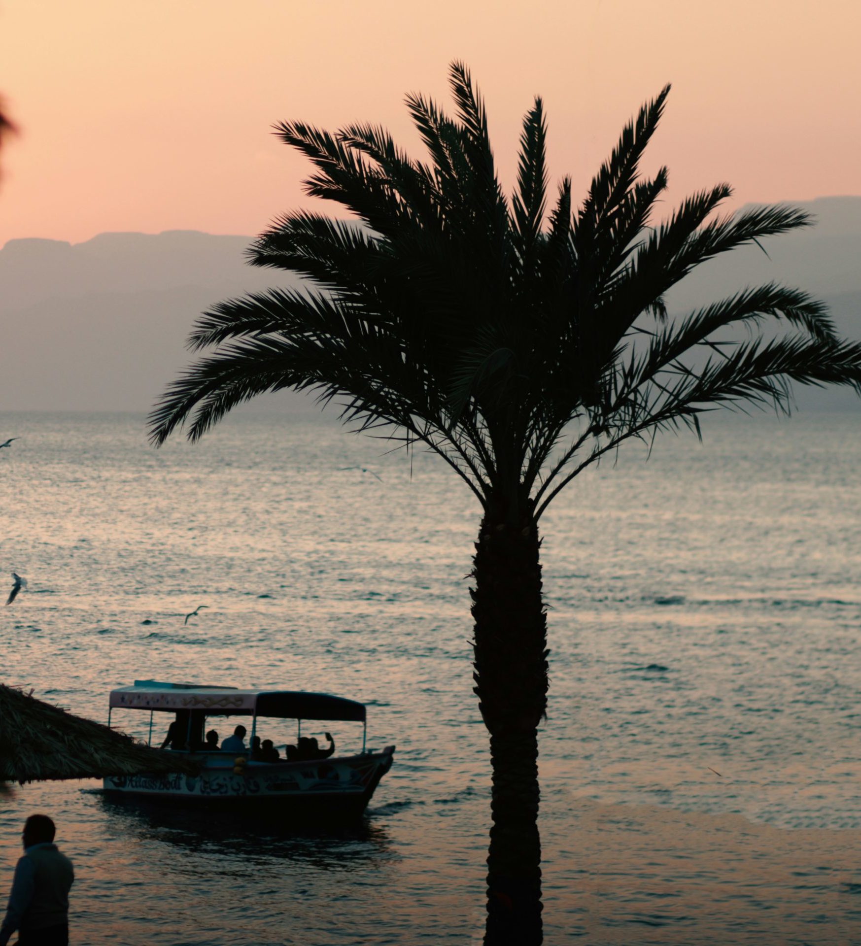 Rondreis-Jordanie-Aqaba-zonsondergang-aan-het-strand-met-palmbomen-en-bootje