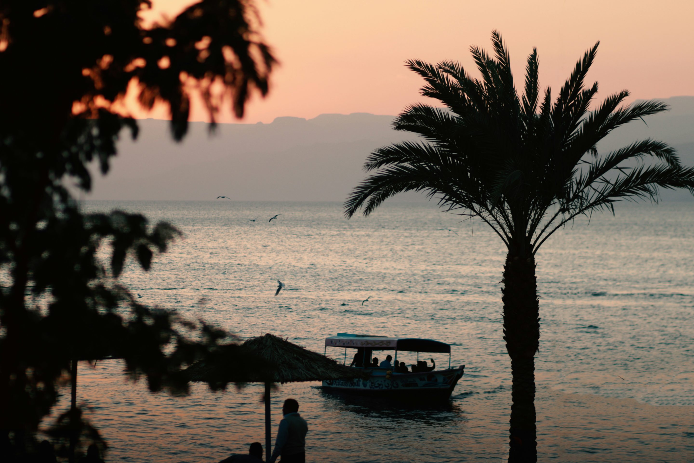 Rondreis Jordanië, Aqaba, zonsondergang aan het strand met palmbomen en bootje