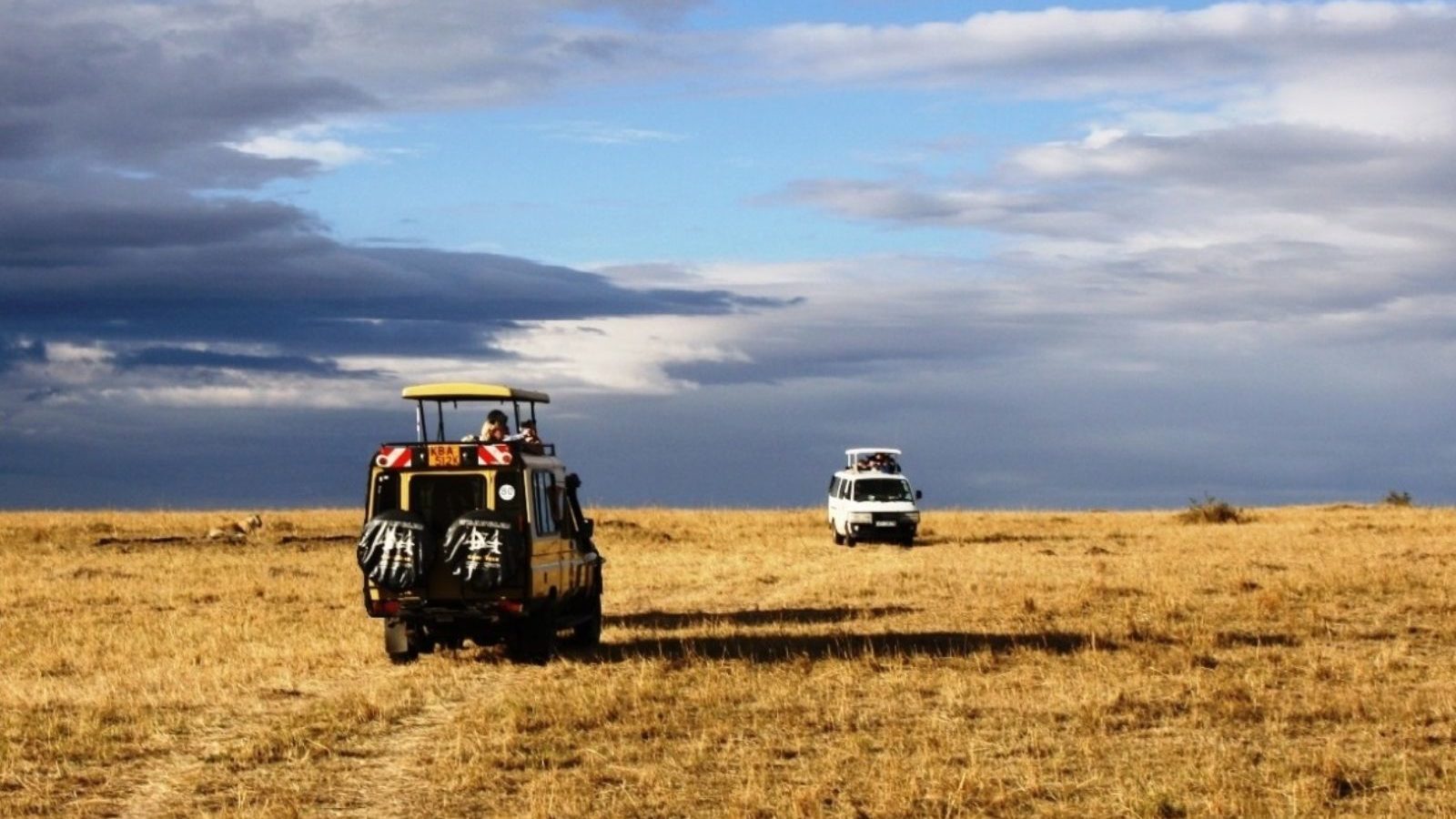 Rondreis Kenia, Masai Mara, safari auto