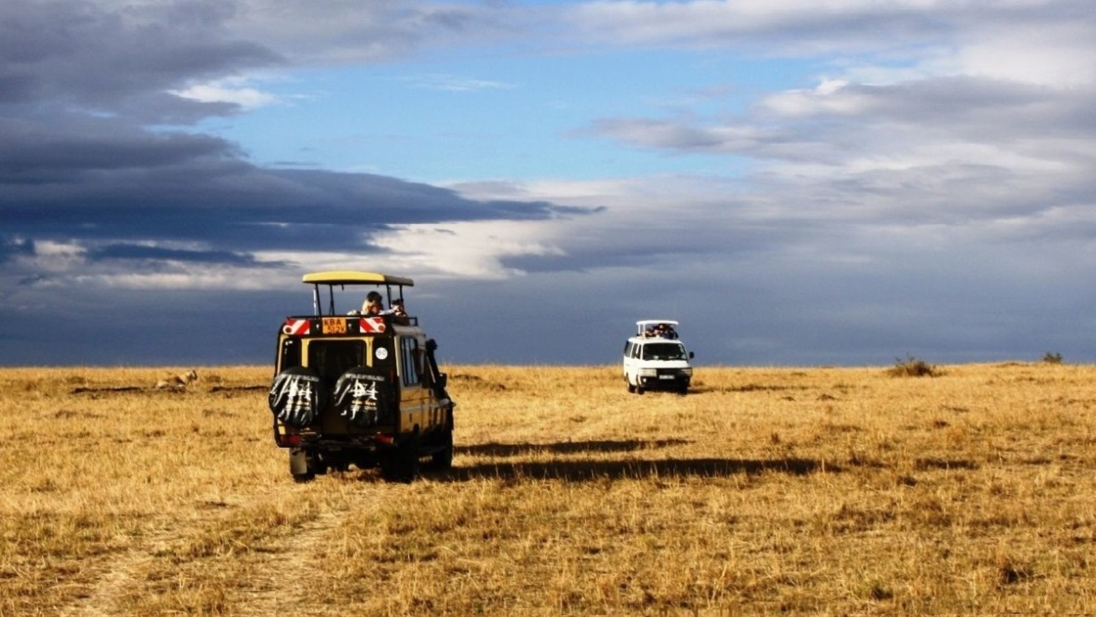Rondreis Kenia, Masai Mara, safari auto
