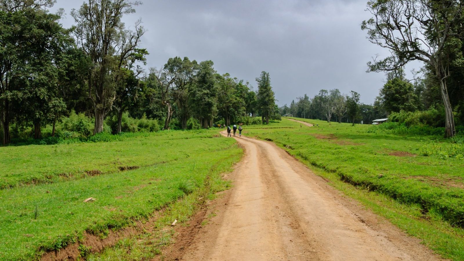 Rondreis Kenia, Naro Moru, Hiking Trail met drie personen op pad