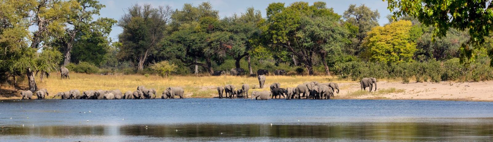 Rondreis Namibië, Caprivi, rivier met olifanten