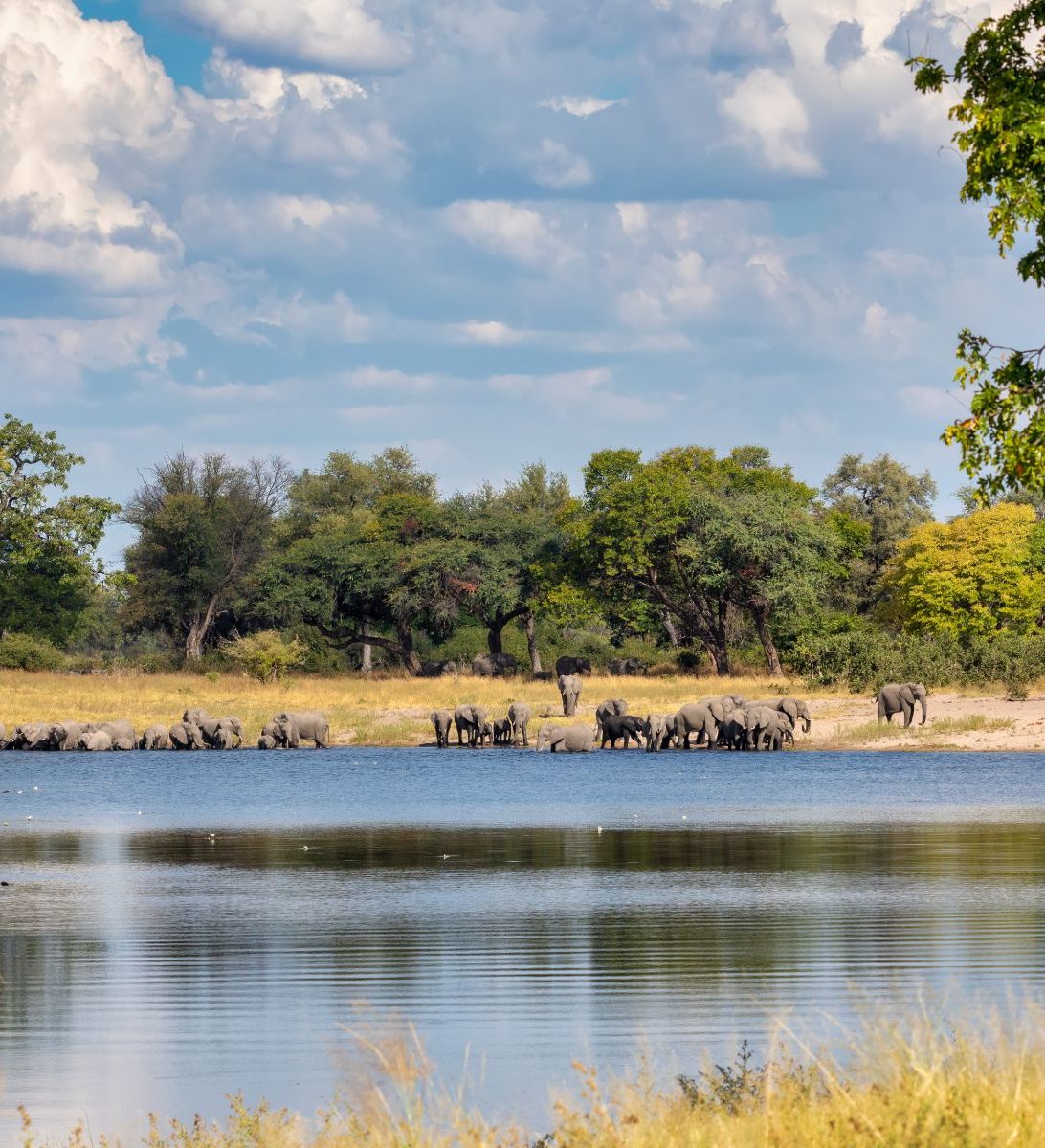 Rondreis Namibië, Caprivi, rivier met olifanten