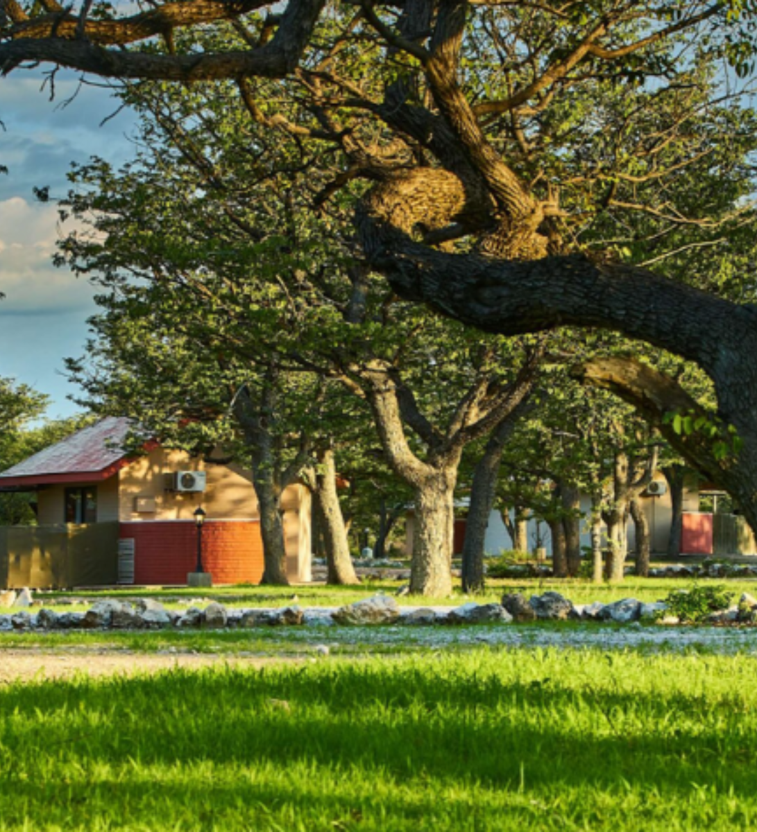 Rondreis Namibië, Etosha NP (Halali), Halali Resort, buitenaanzicht lodge