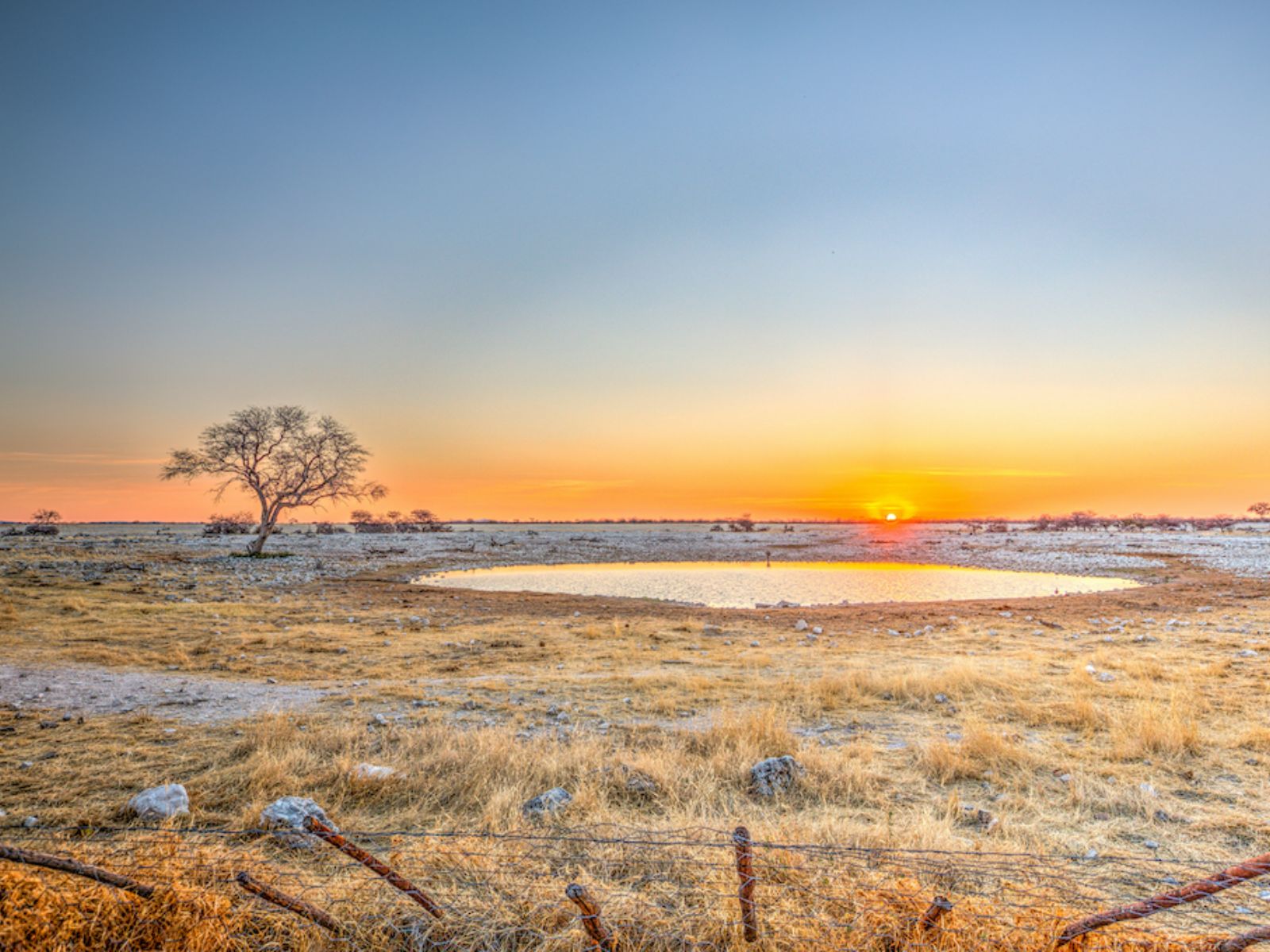 Rondreis Namibië, Etosha NP, Okaukuejo Rest Camp, landschap