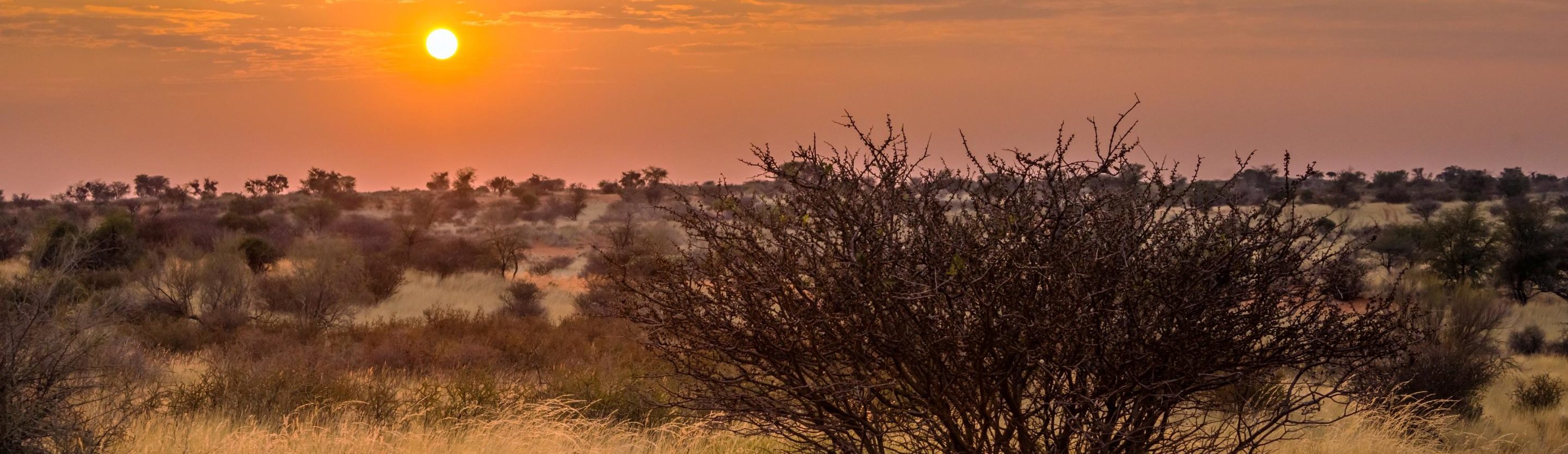 Rondreis Namibië, Kalahari, vallei zonsopkomst
