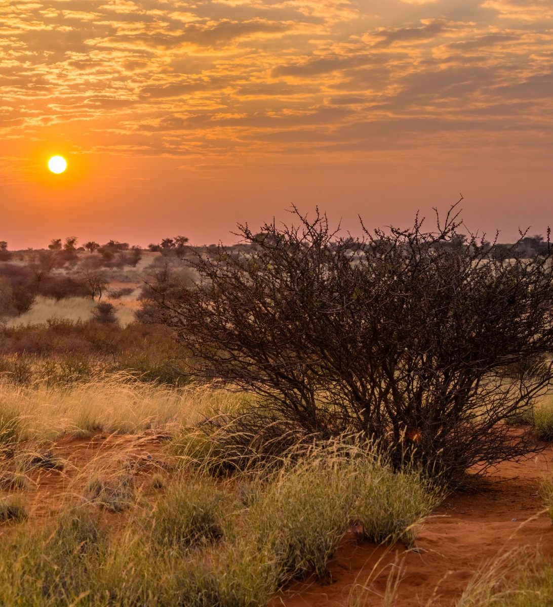 Rondreis Namibië, Kalahari, vallei zonsopkomst