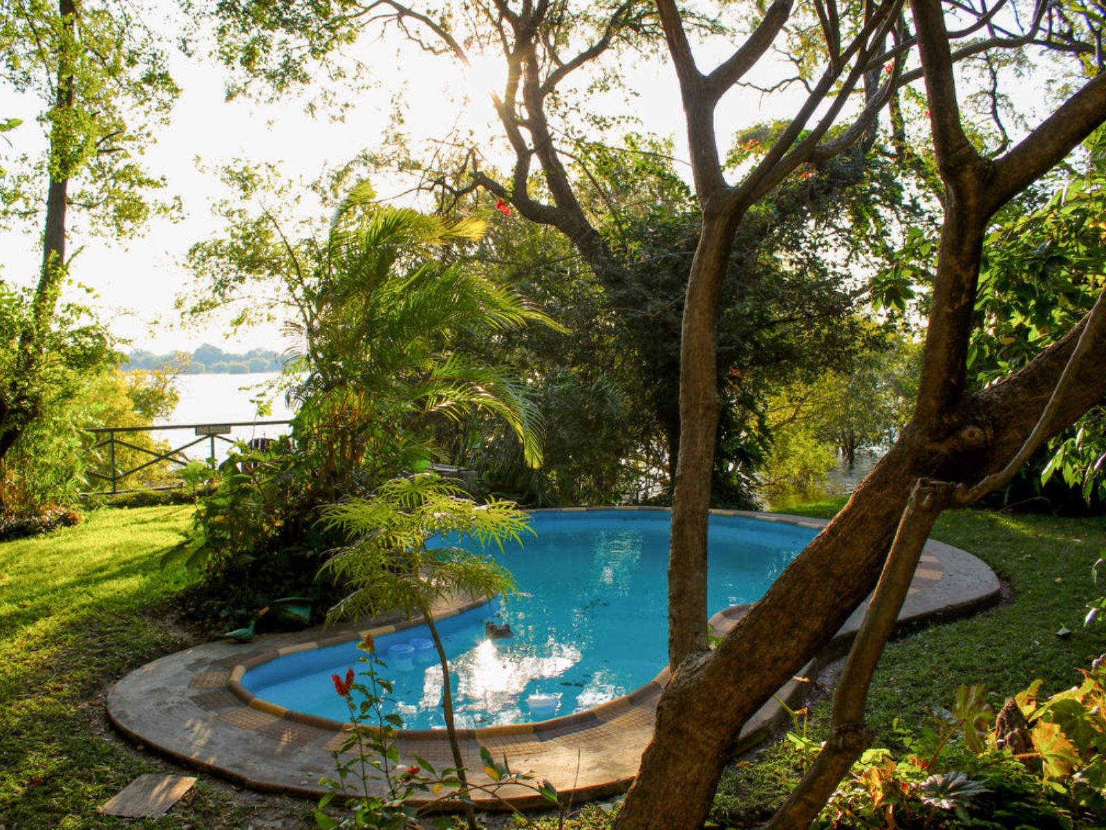 Rondreis Namibië, Katima Mulilo, Caprivi River Lodge, zwembad