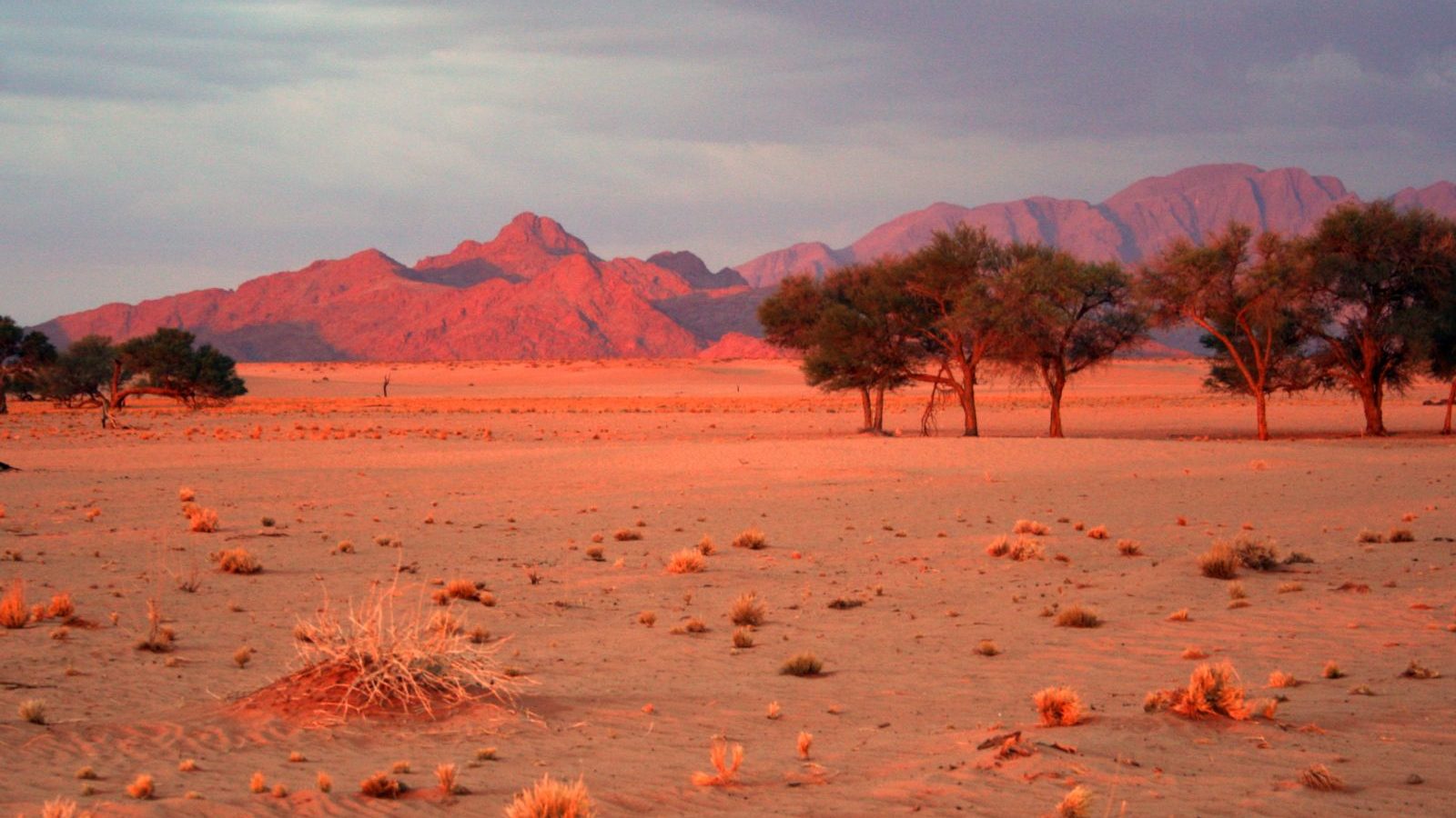 Rondreis Namibië, Sossusvlei, vallei en bergen zonsondergang