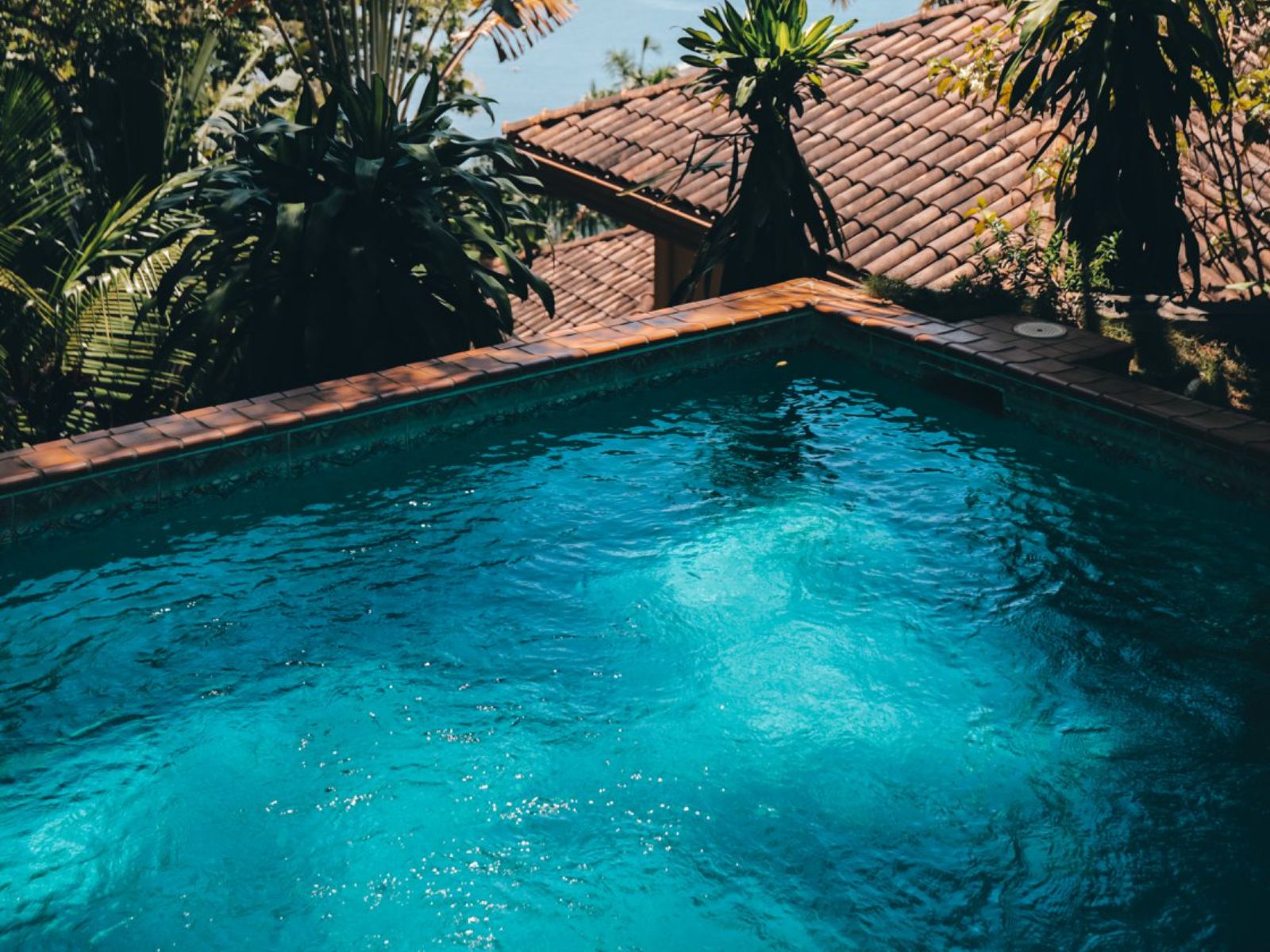 Rondreis Panama, Boca Chica, Seagull Cove Resort, zwembad