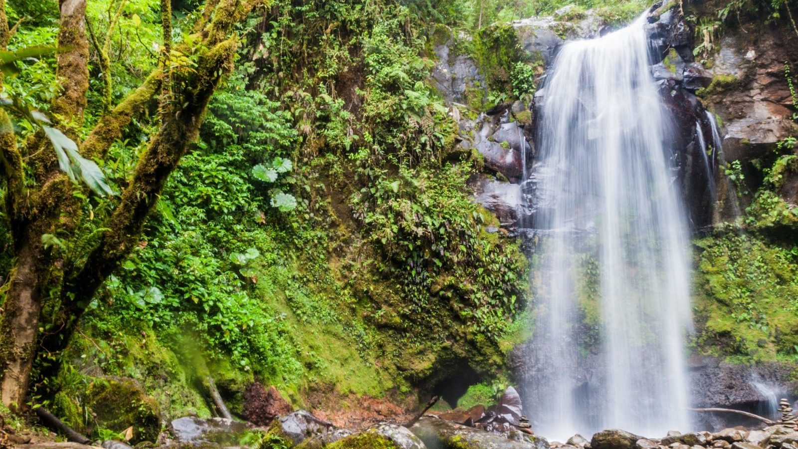 Rondreis Panama, Boquete, waterval