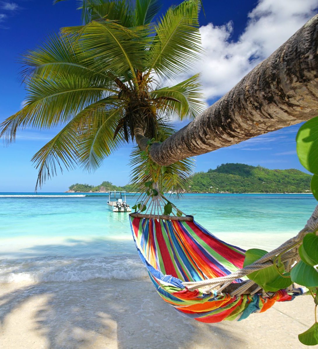 Rondreis Seychellen, Mahé, hangmat aan een palmboom