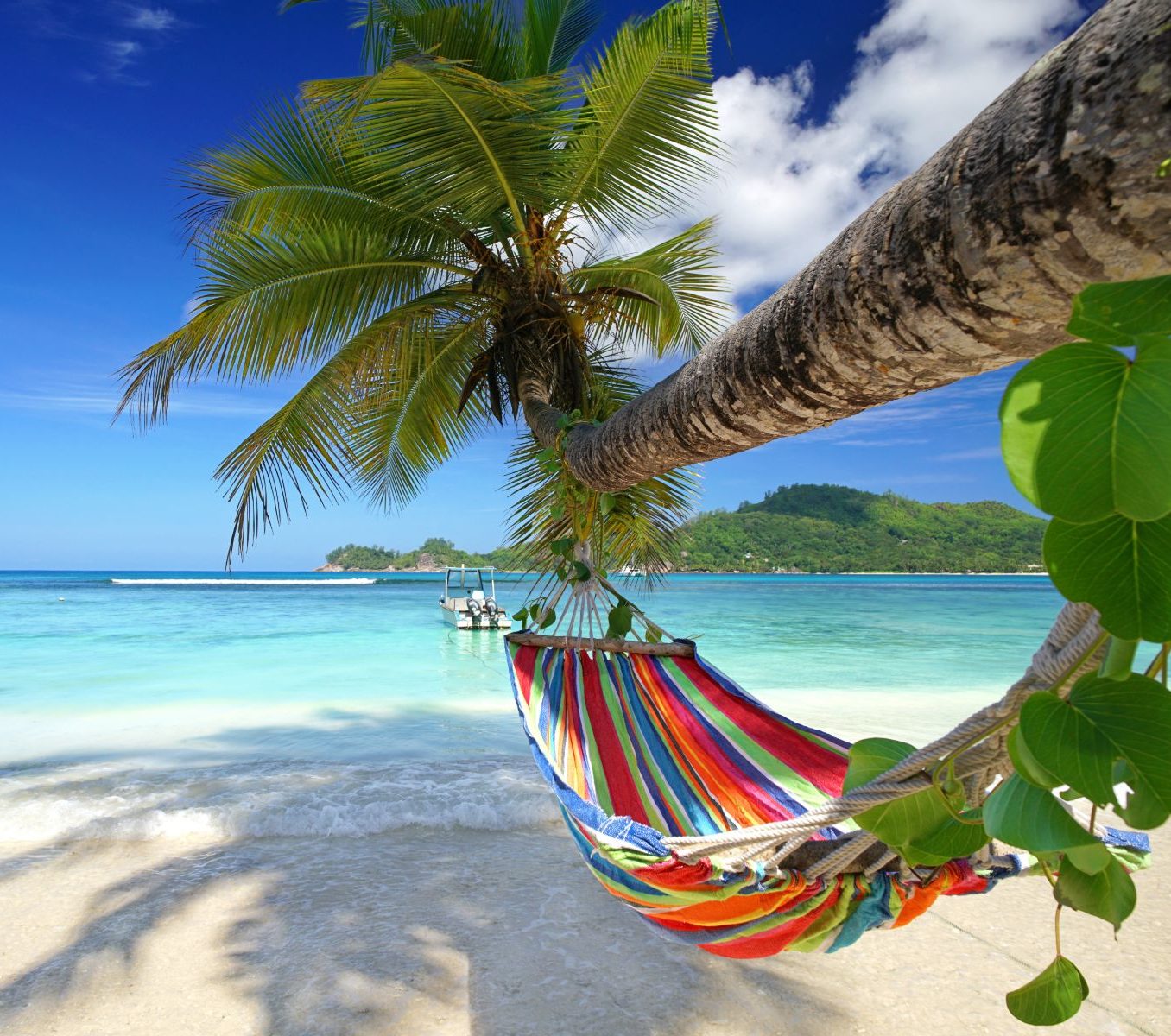 Rondreis Seychellen, Mahé, hangmat aan een palmboom