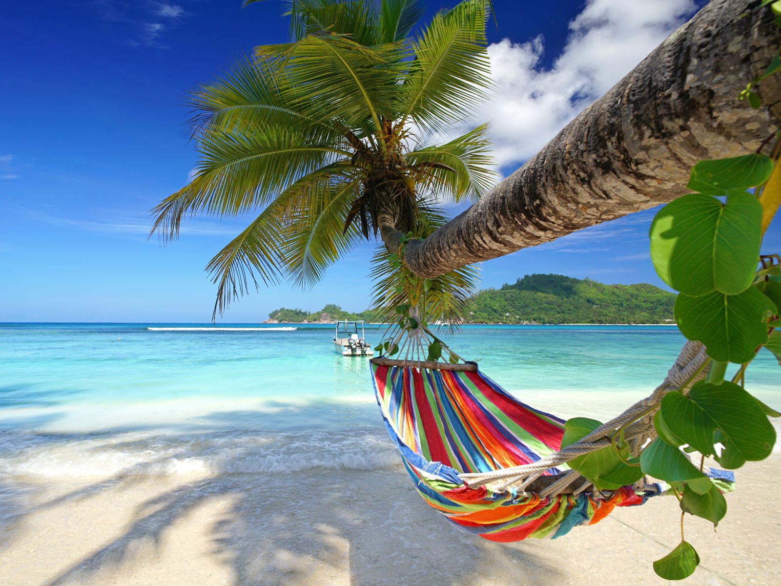 Rondreis Seychellen, Mahé, hangmat aan een palmboom