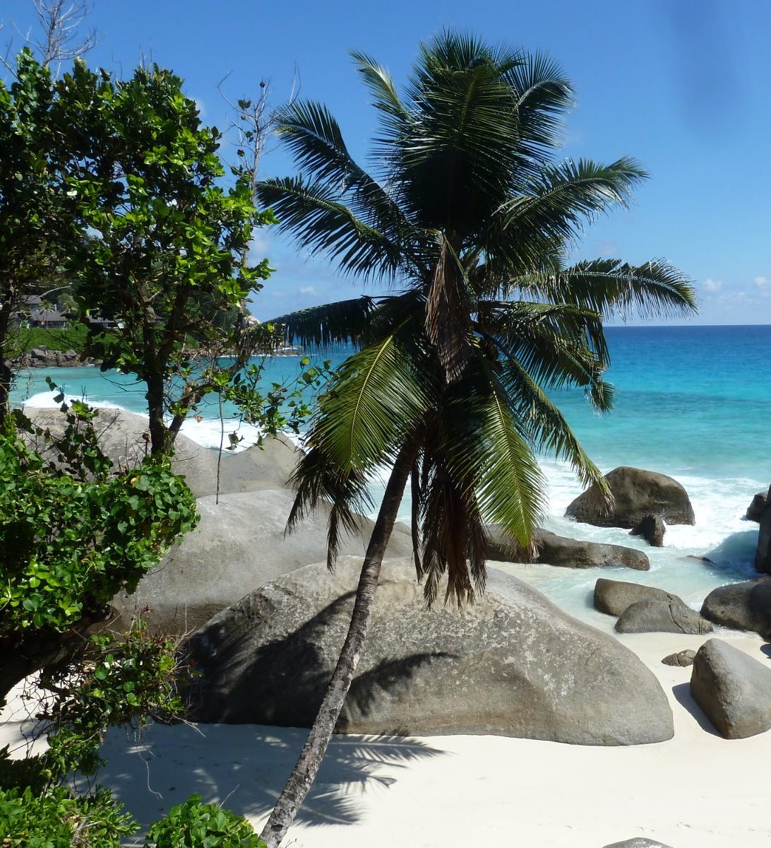 Rondreis Seychellen, Silhouette, strand met palmbomen en rotsen