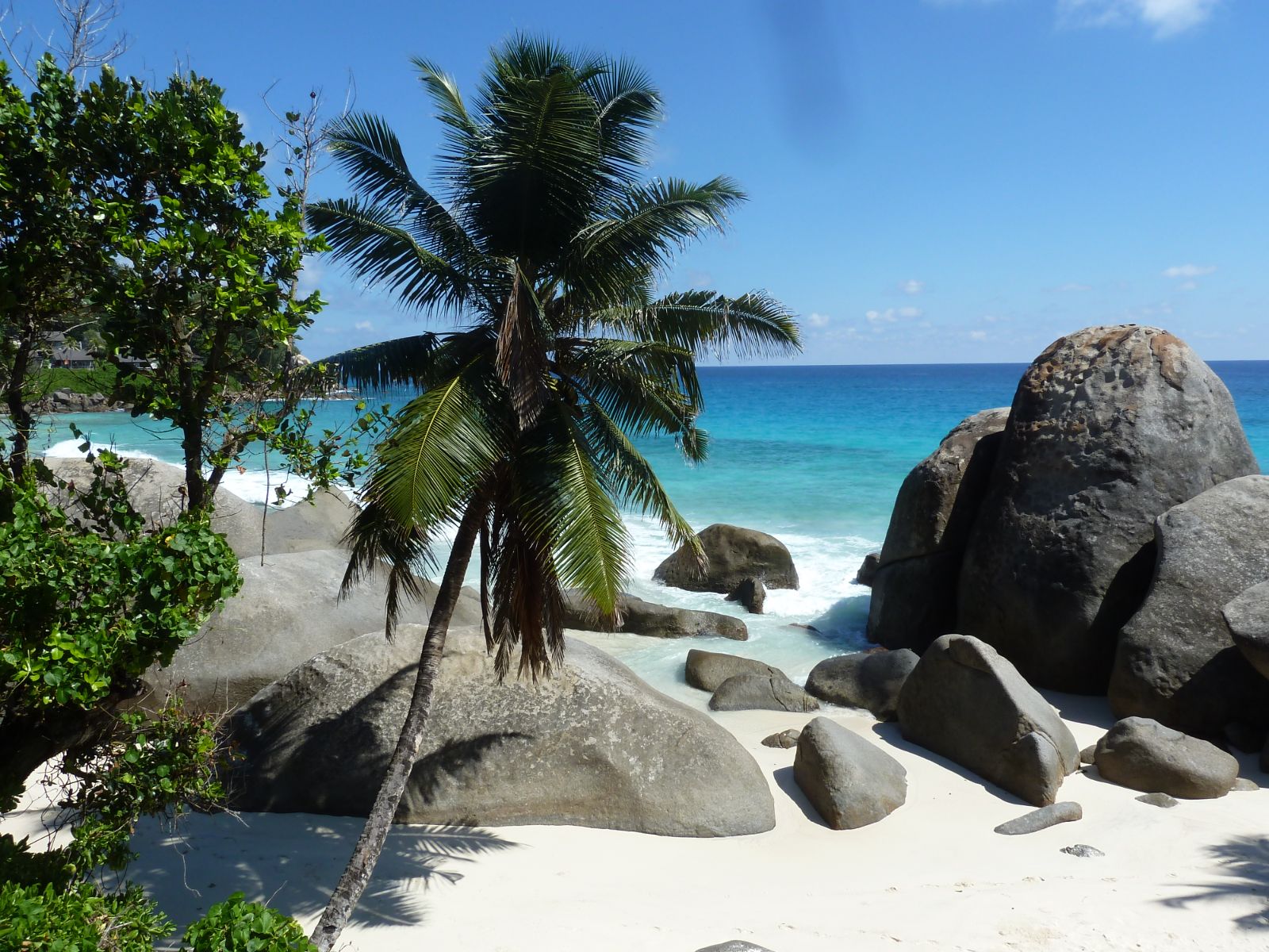 Rondreis Seychellen, Silhouette, strand met palmbomen en rotsen