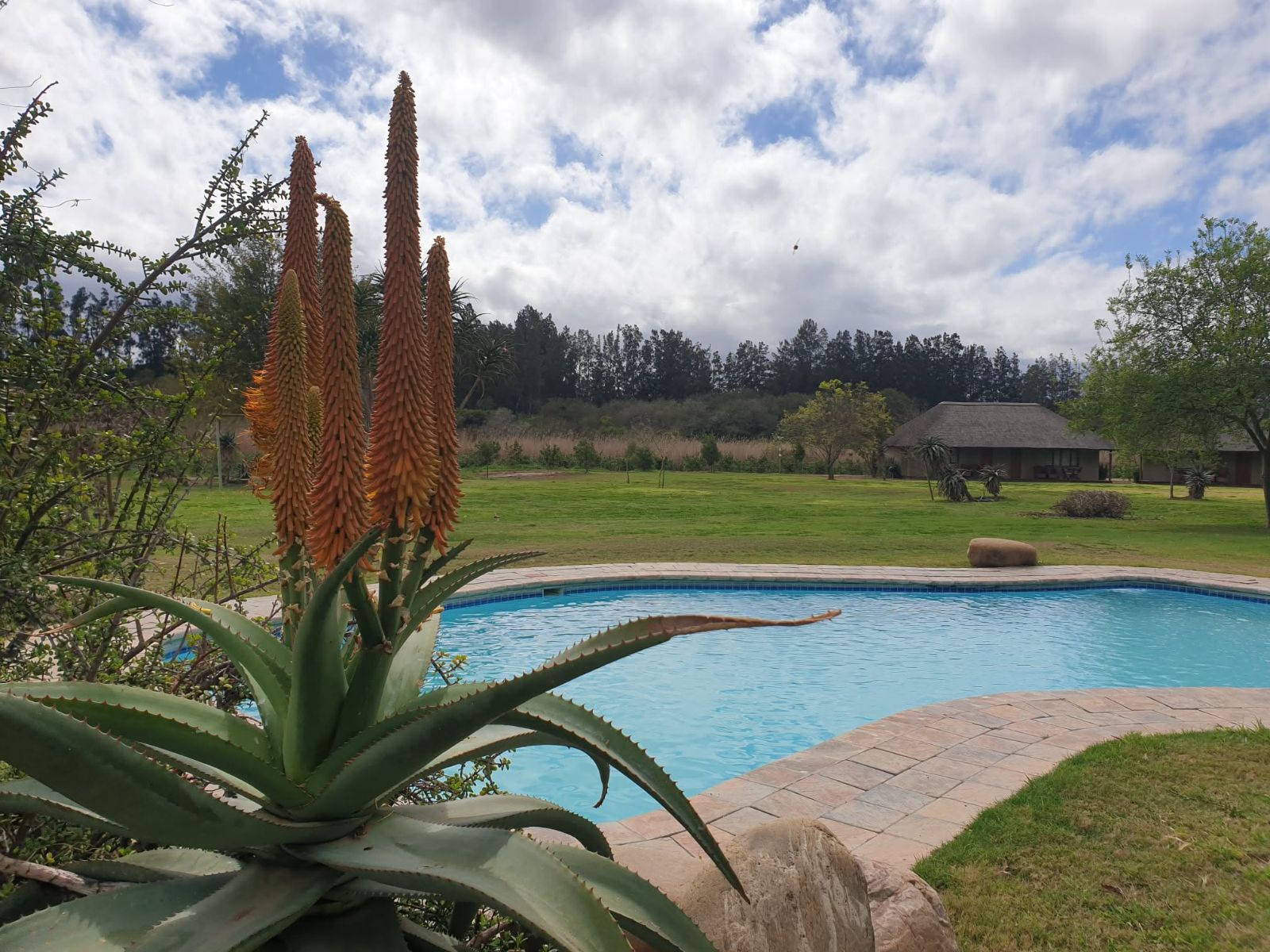 Rondreis Zuid-Afrika, Addo, Chrislin African Lodge, zwembad