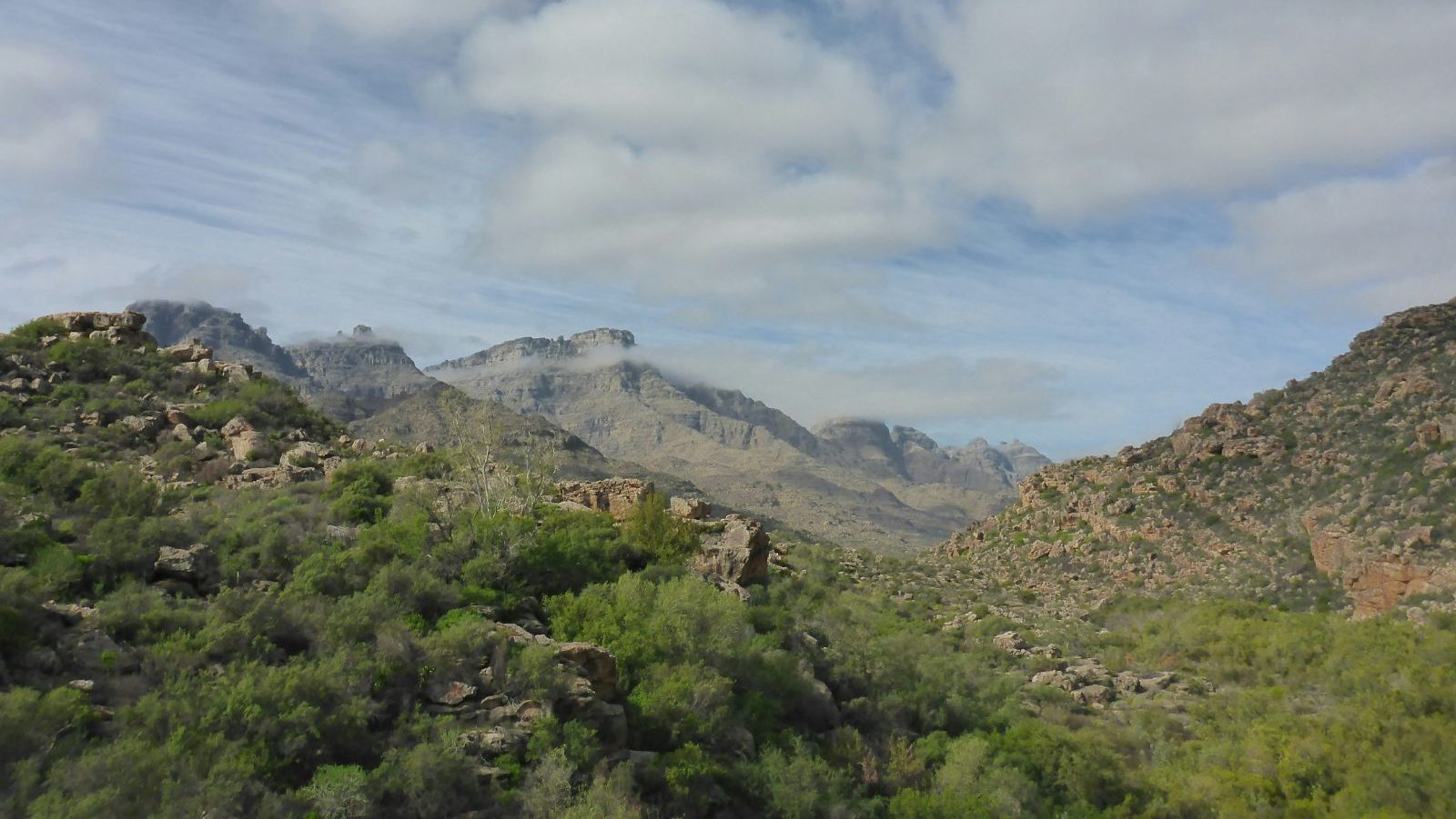 Rondreis-Zuid-Afrika-Cederbergen-bergketen-aspect-ratio-1000-563