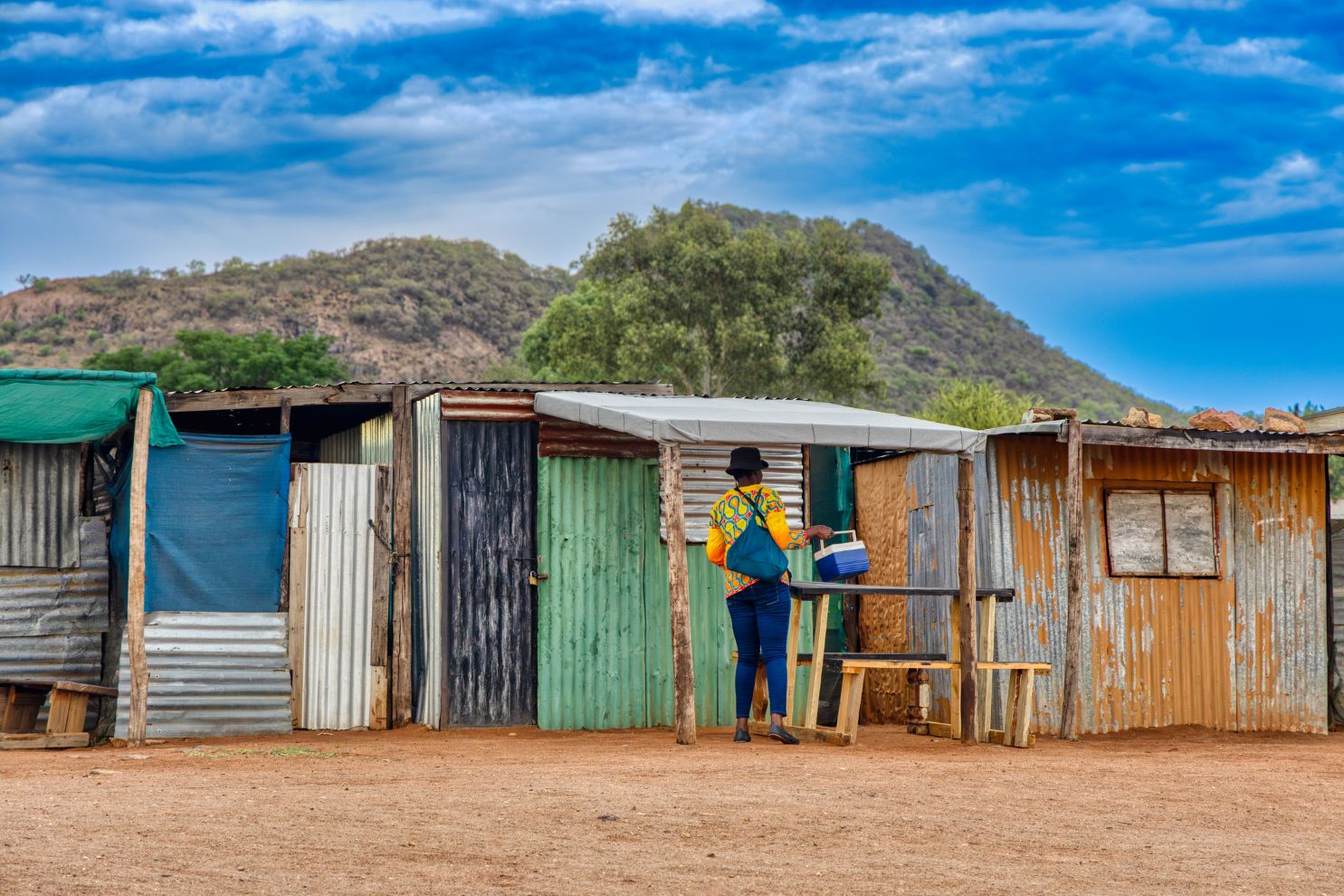 Rondreis Zuid-Afrika, Johannesburg, kleurrijke huisjes in Soweto