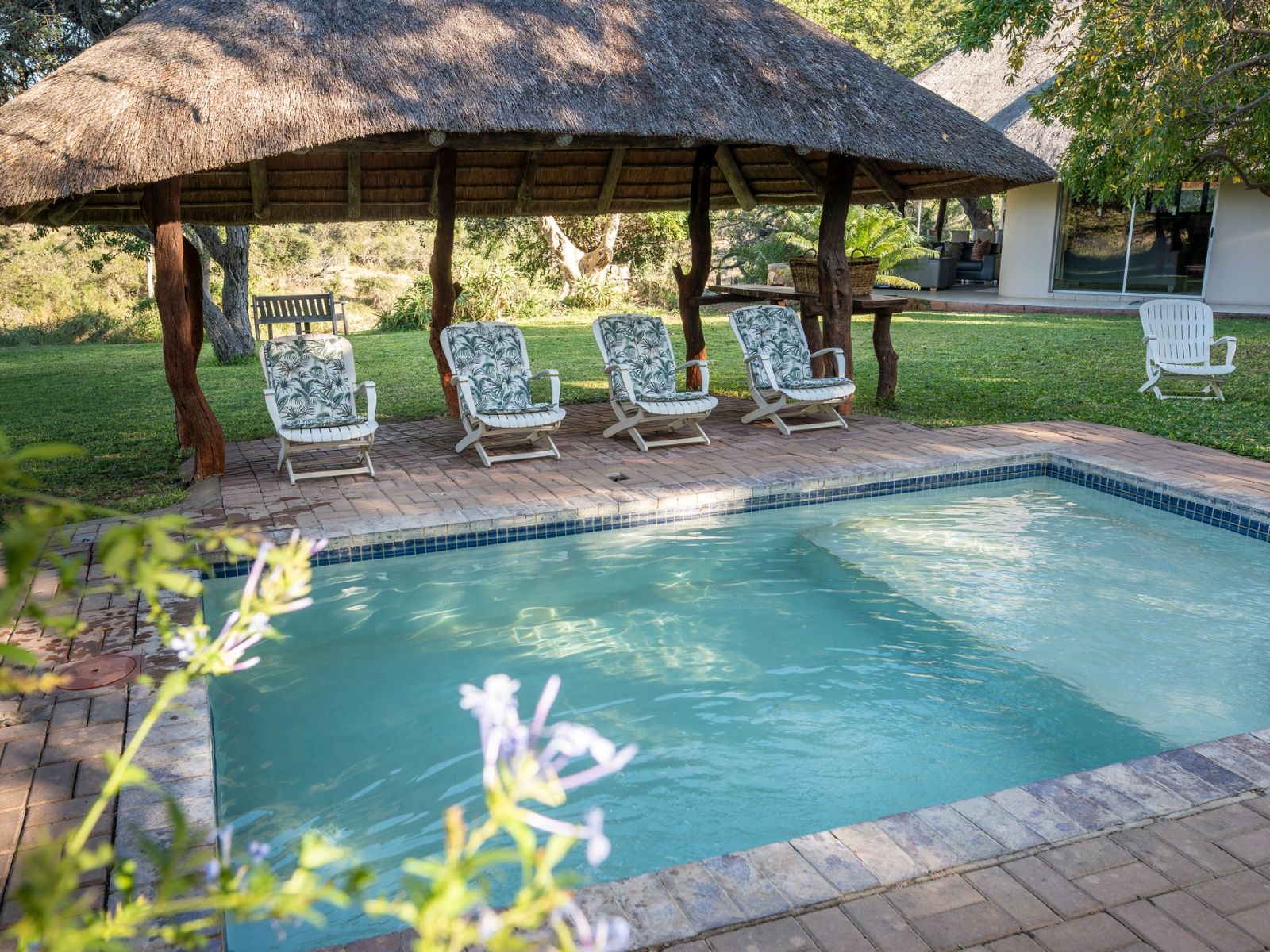 Rondreis Zuid-Afrika, Kruger - Klaserie Private Nature Reserve, Nyala Safari Lodge, zwembad