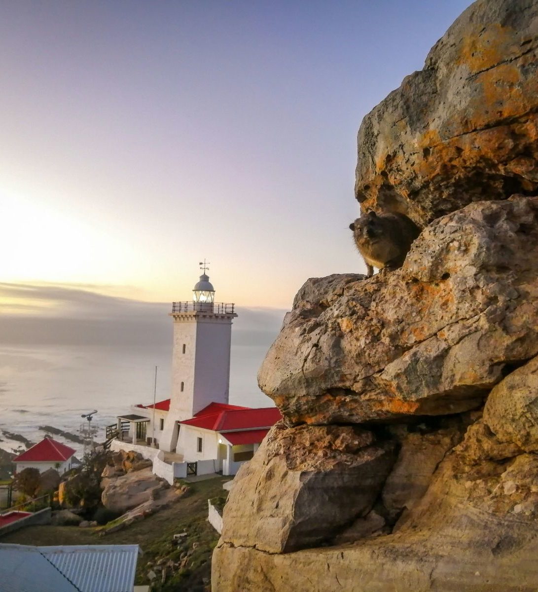 Rondreis Zuid- Afrika, Mossel Bay, vuurtoren, zee en haven vanaf achter de berg