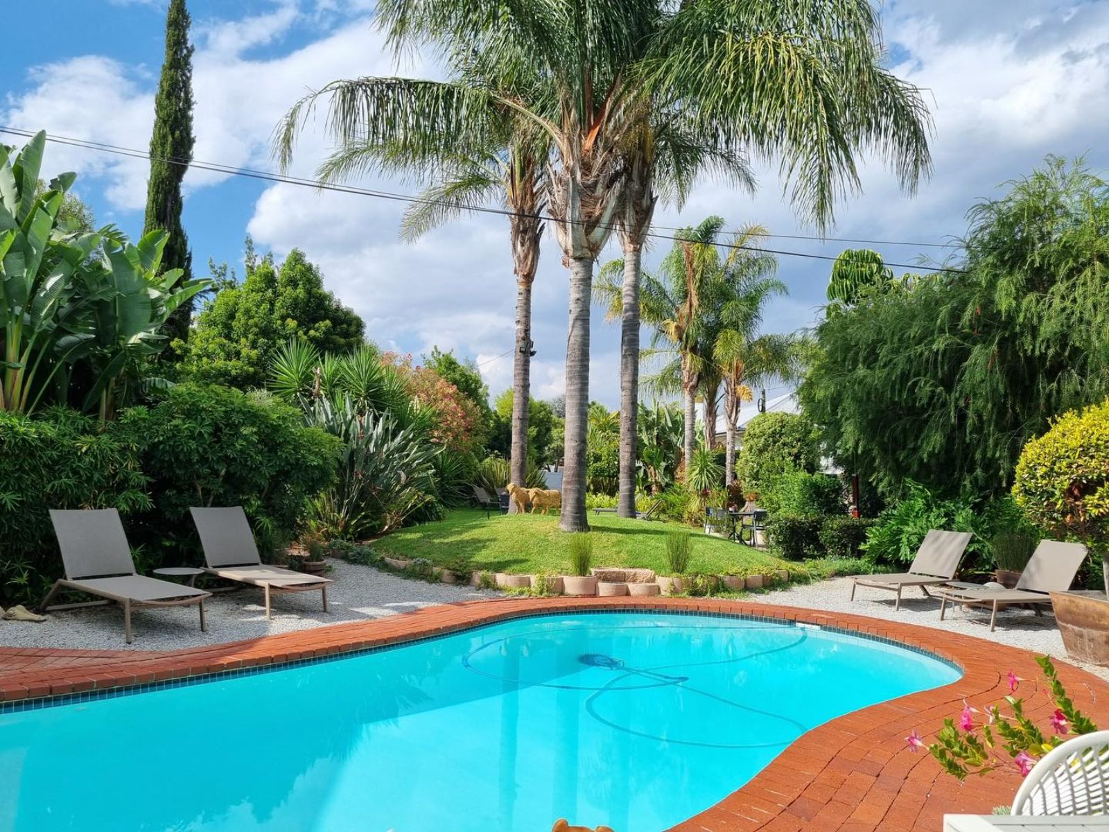 Rondreis Zuid-Afrika, Robertson-Montagu, Ballinderry - The Robertson Guest House, zwembad