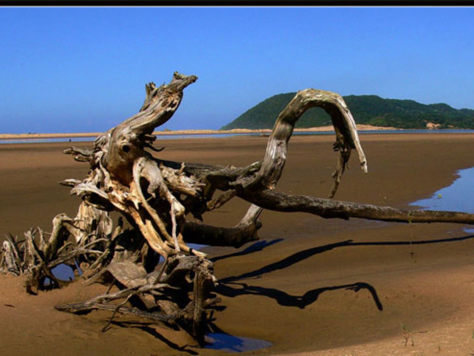 Rondreis Zuid- Afrika, St. Lucia, strand