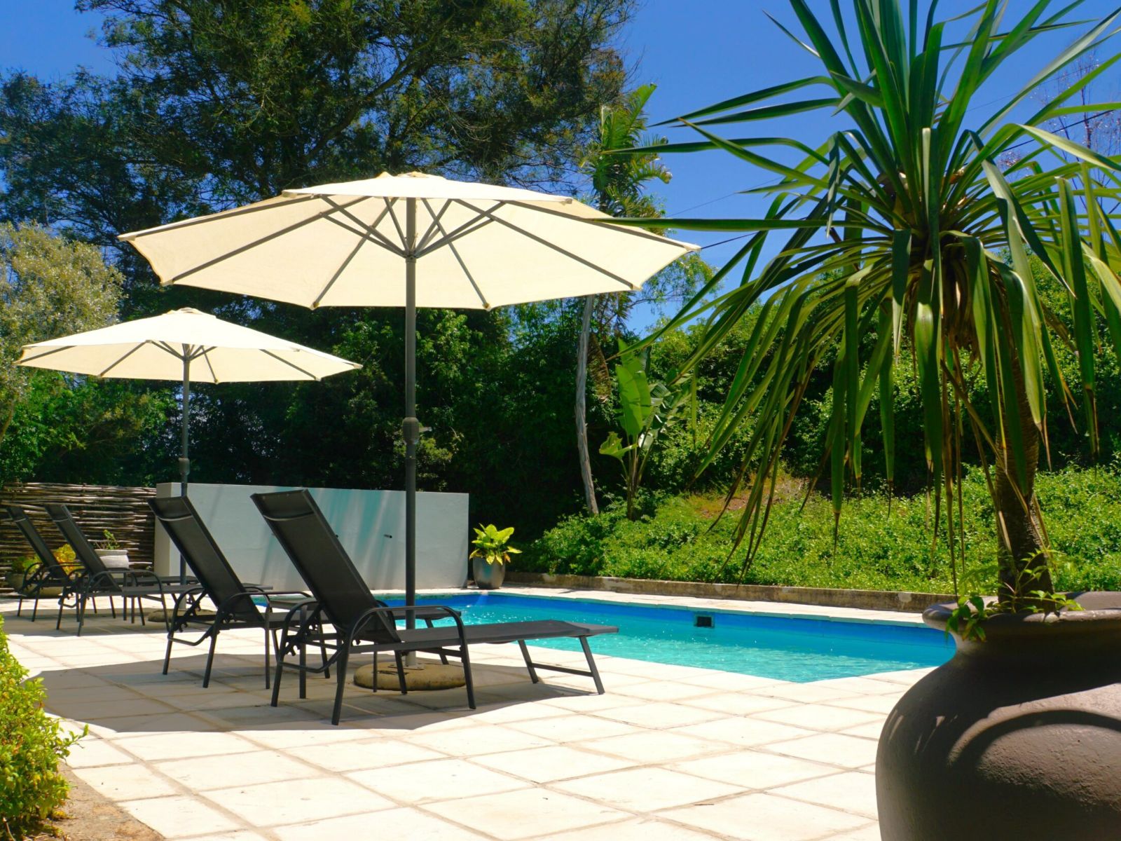 Rondreis Zuid-Afrika, Swellendam, Swellendam Country Lodge, zwembad