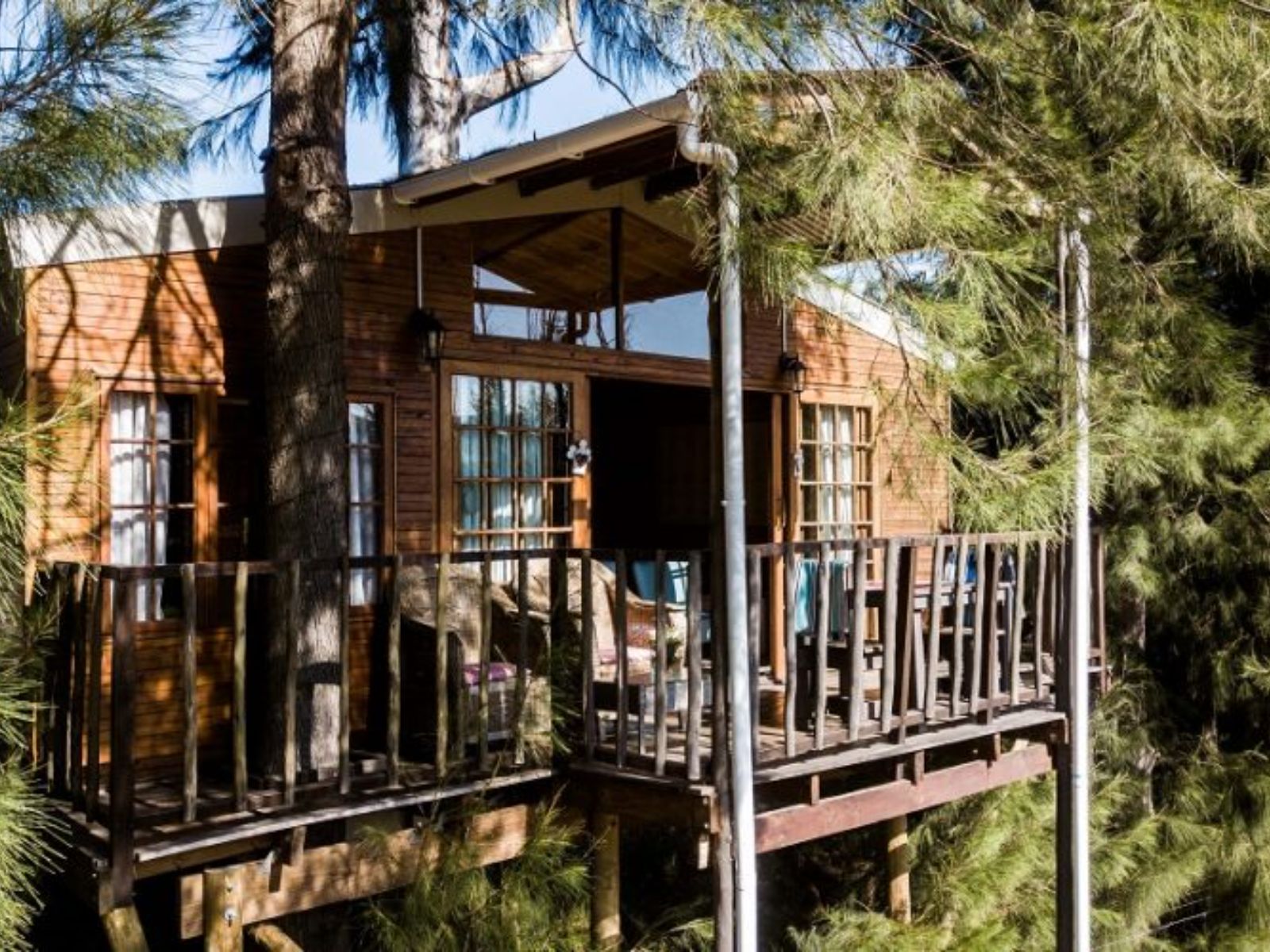 Rondreis Zuid-Afrika, Tulbagh, Vindoux Guest Farm, buitenaanzicht treehouse 2