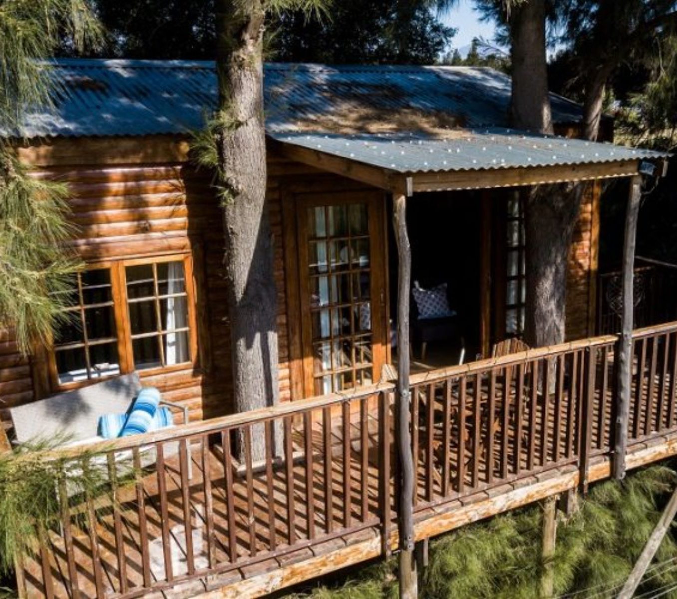 Rondreis Zuid-Afrika, Tulbagh, Vindoux Guest Farm, buitenaanzicht treehouse
