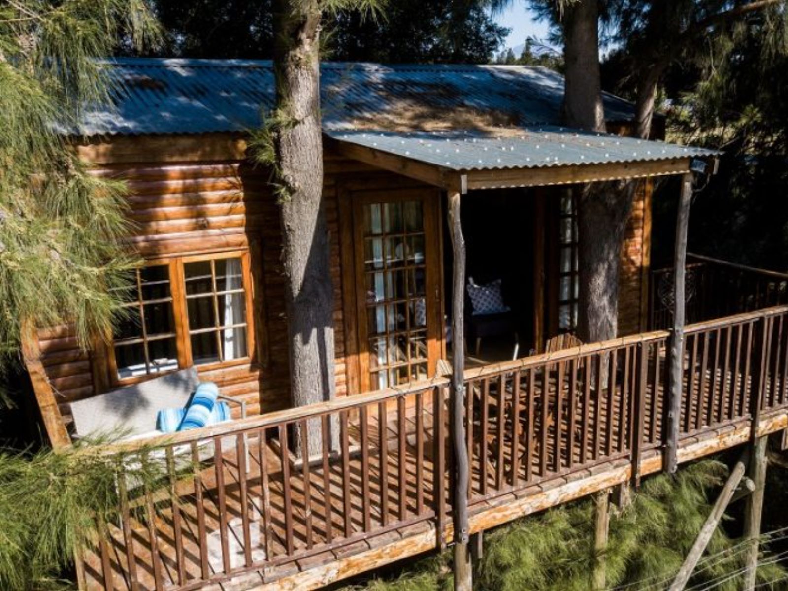 Rondreis Zuid-Afrika, Tulbagh, Vindoux Guest Farm, buitenaanzicht treehouse